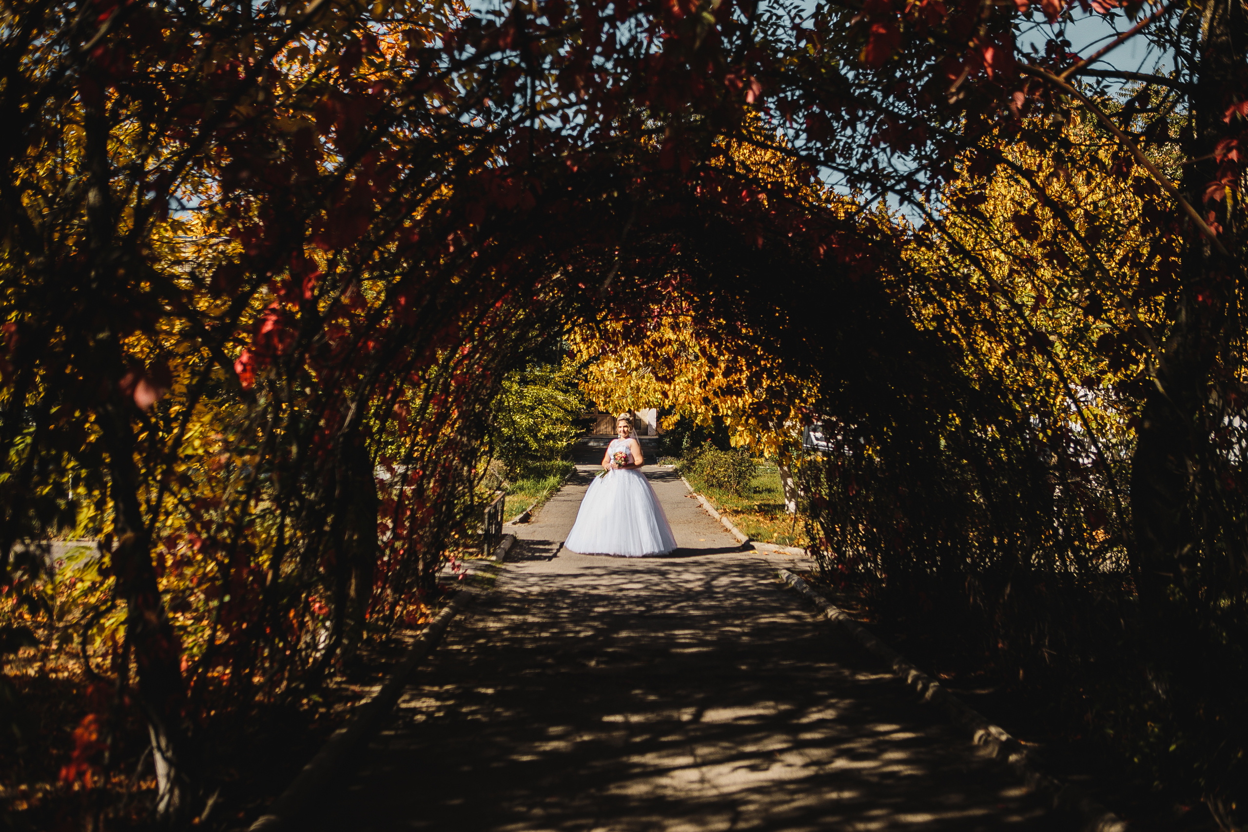 Свадьбы. Фотограф Дмитрий Олейник в Волгодонске и Ростове