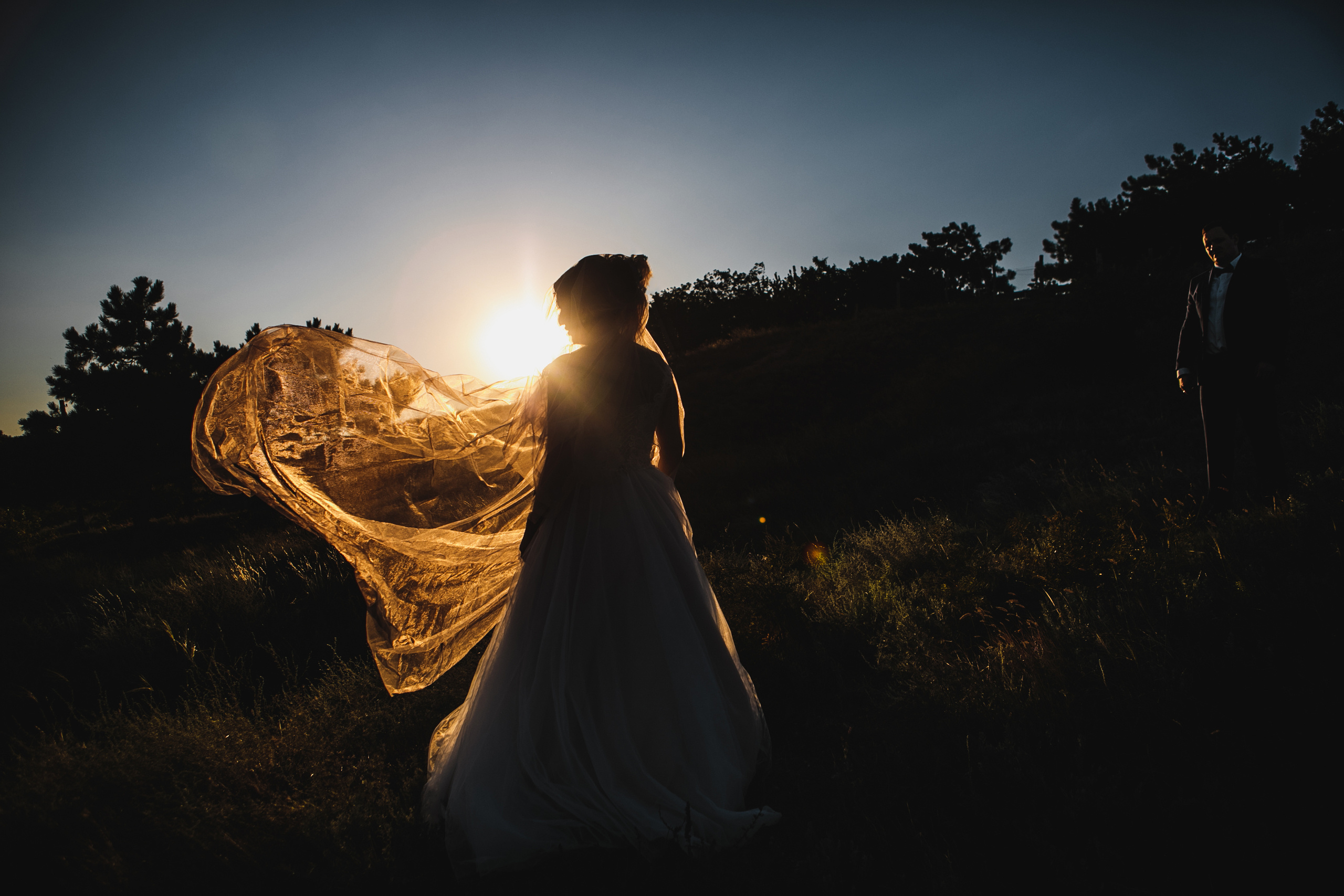 Свадьбы. Фотограф Дмитрий Олейник в Волгодонске и Ростове