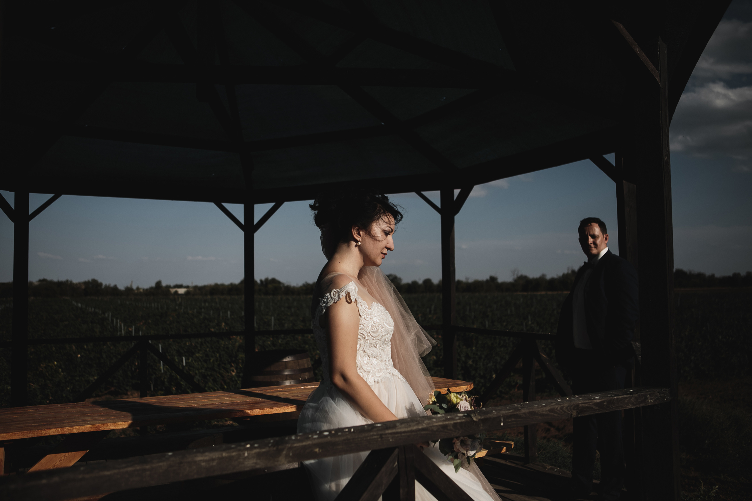 Свадьбы. Фотограф Дмитрий Олейник в Волгодонске и Ростове