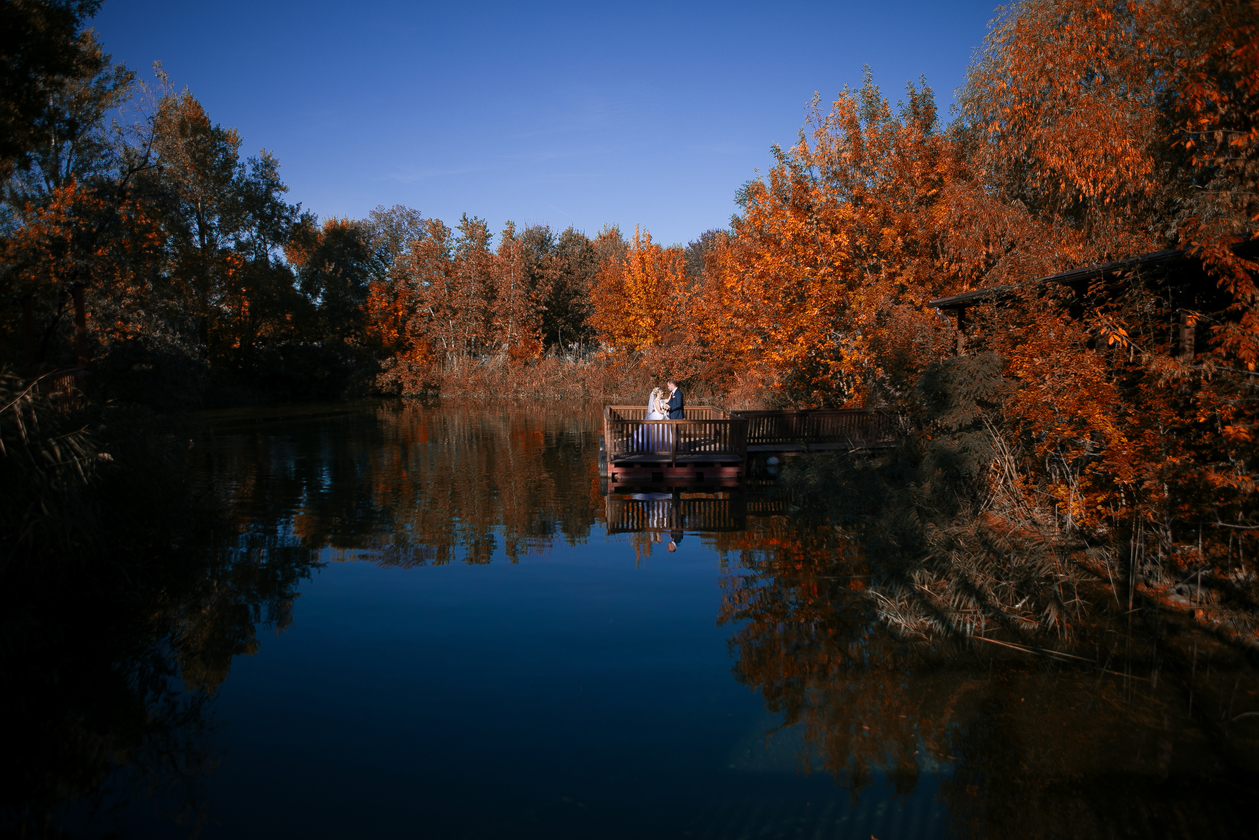 Свадьбы. Фотограф Дмитрий Олейник в Волгодонске и Ростове