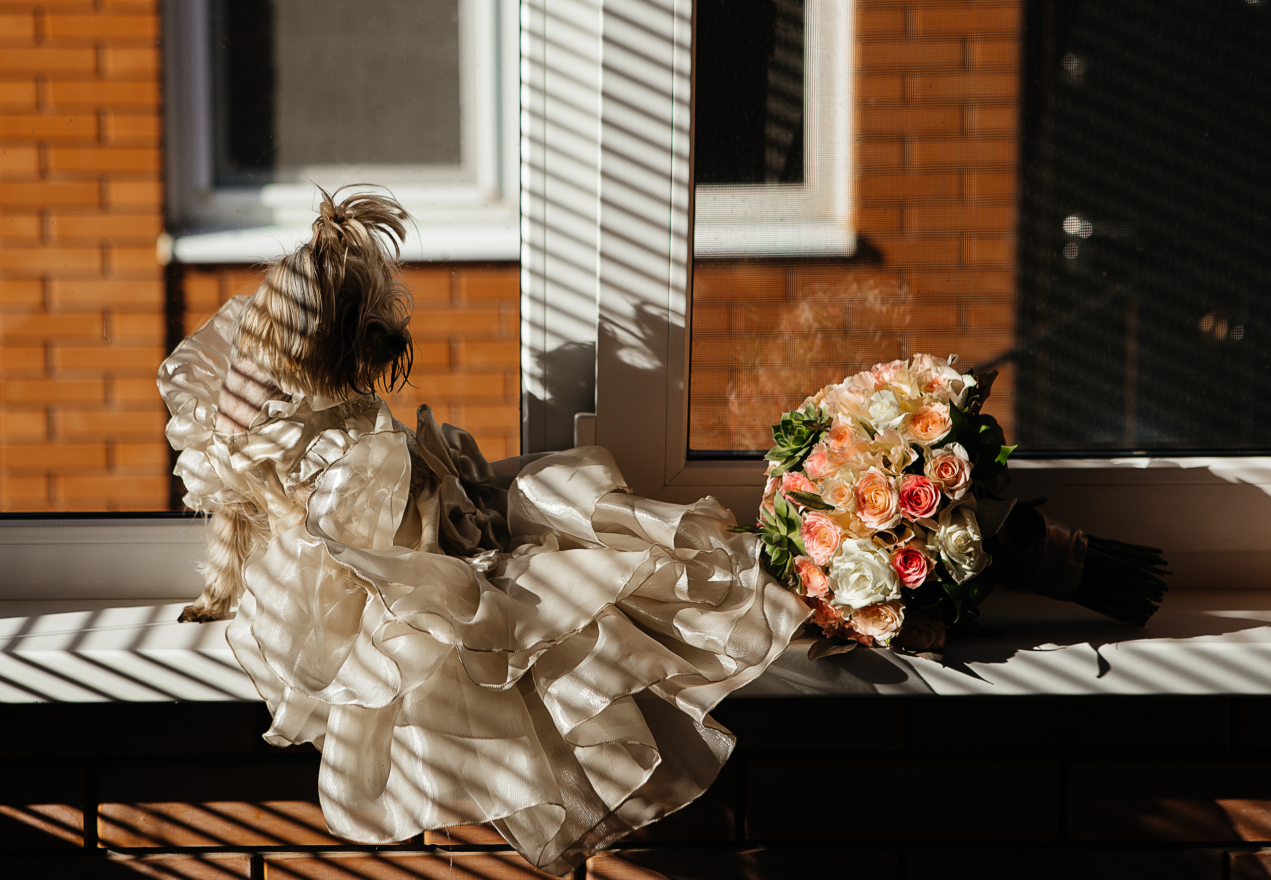 Свадьбы. Фотограф Дмитрий Олейник в Волгодонске и Ростове