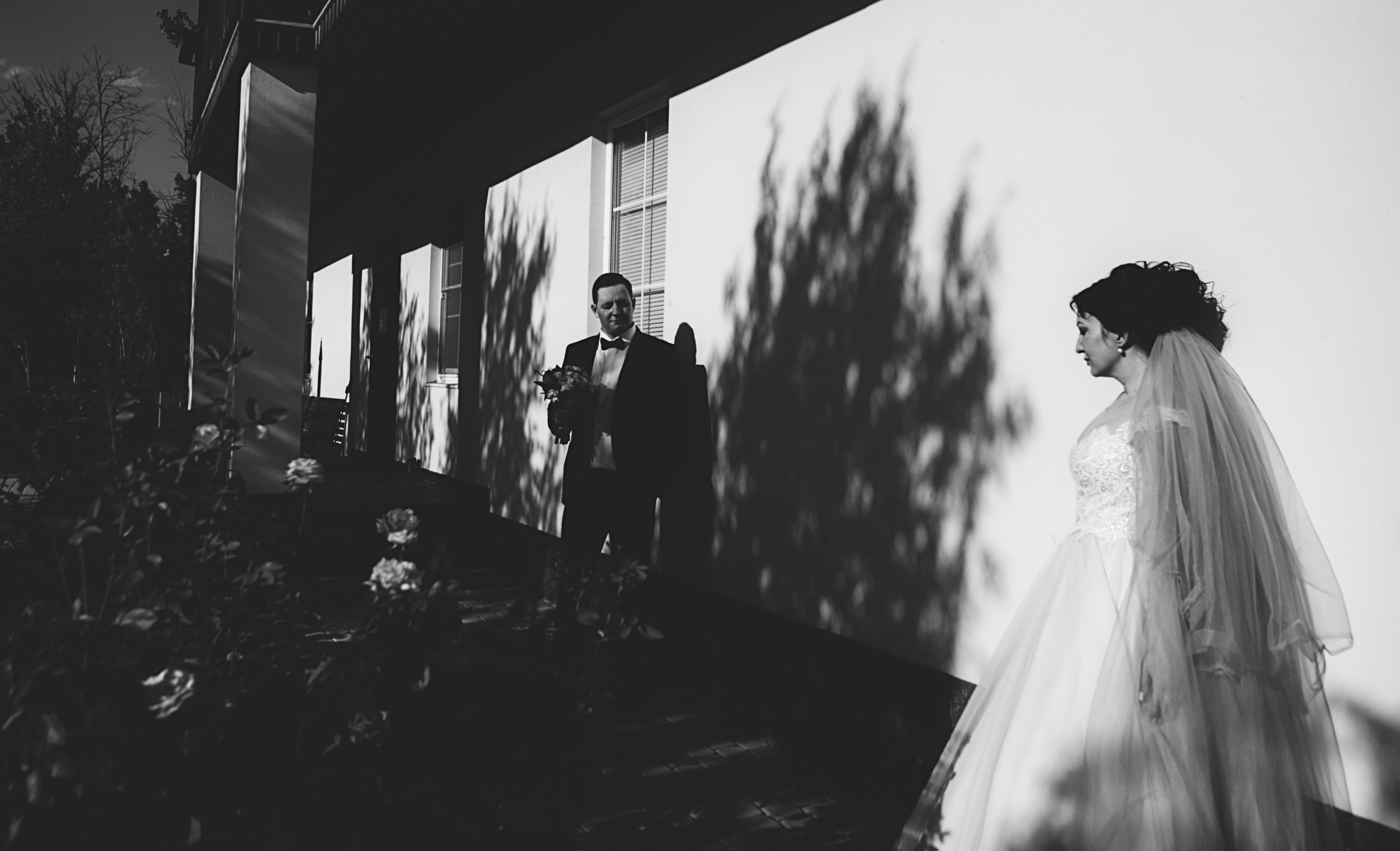 Свадьбы. Фотограф Дмитрий Олейник в Волгодонске и Ростове