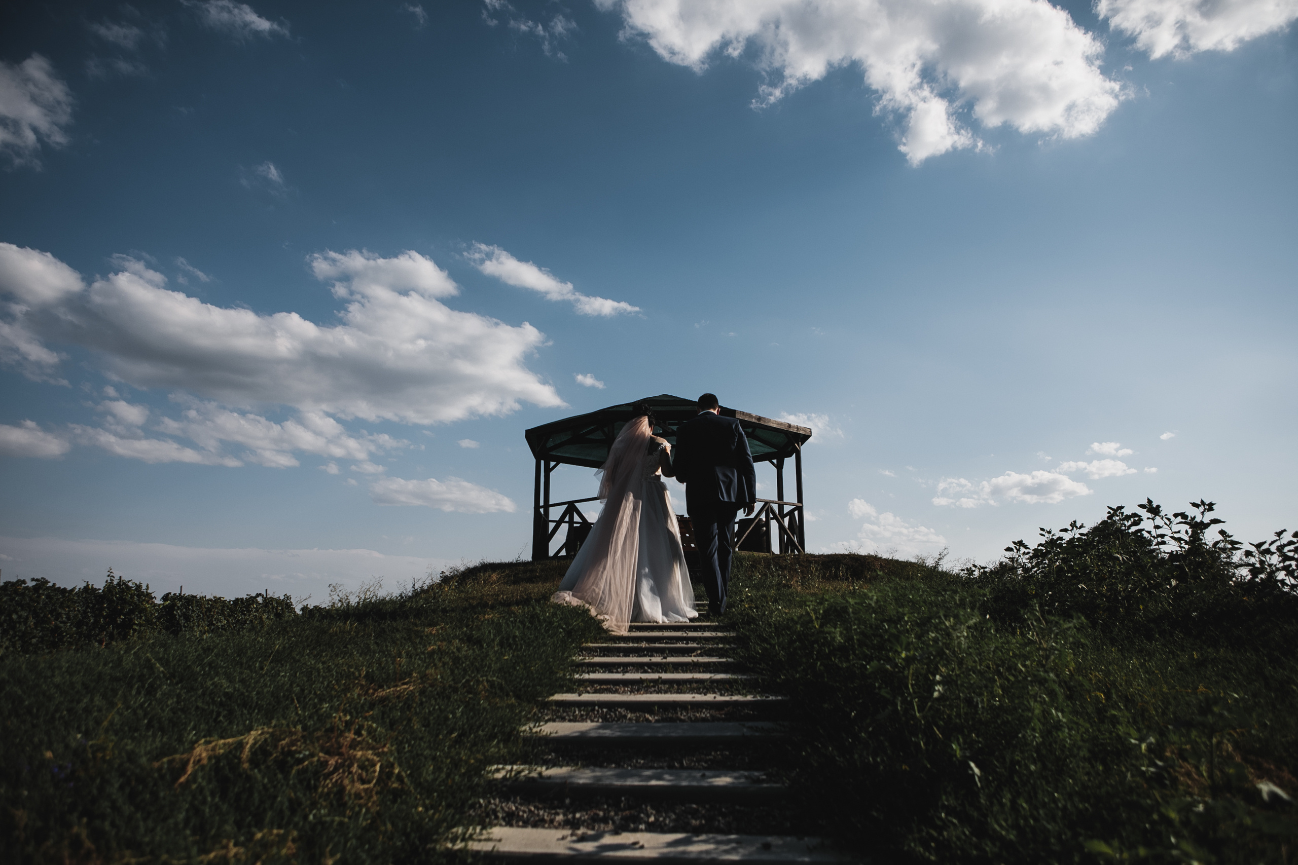 Свадьбы. Фотограф Дмитрий Олейник в Волгодонске и Ростове