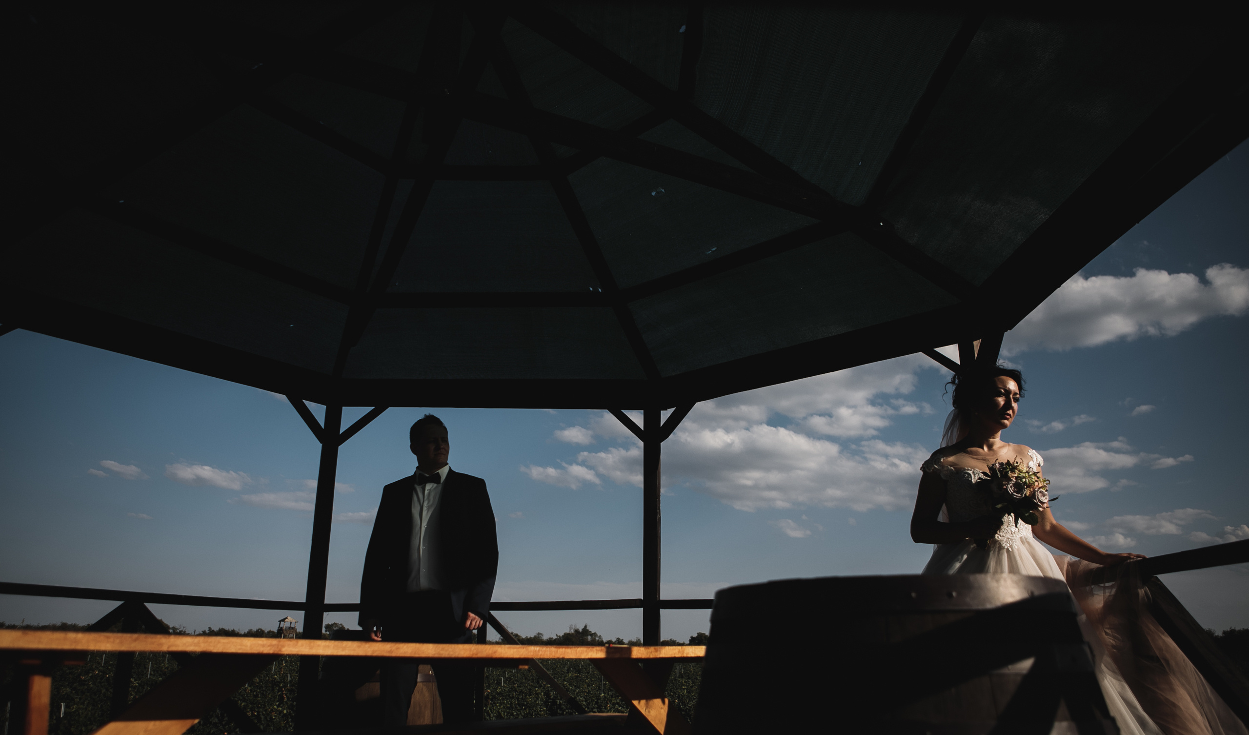 Свадьбы. Фотограф Дмитрий Олейник в Волгодонске и Ростове