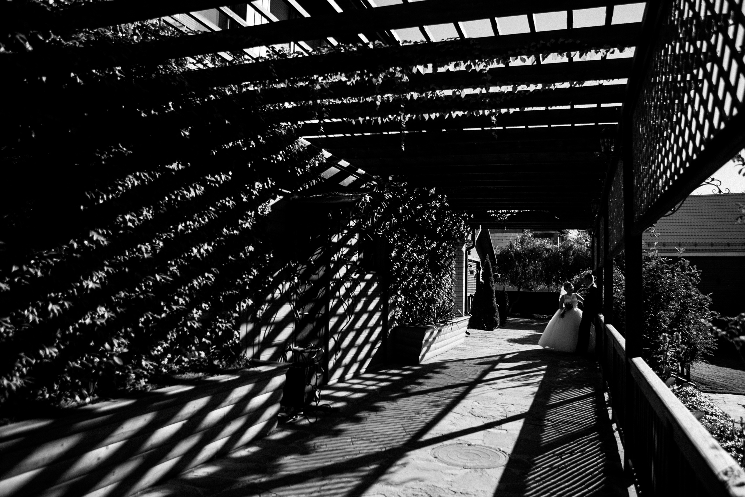 Свадьбы. Фотограф Дмитрий Олейник в Волгодонске и Ростове