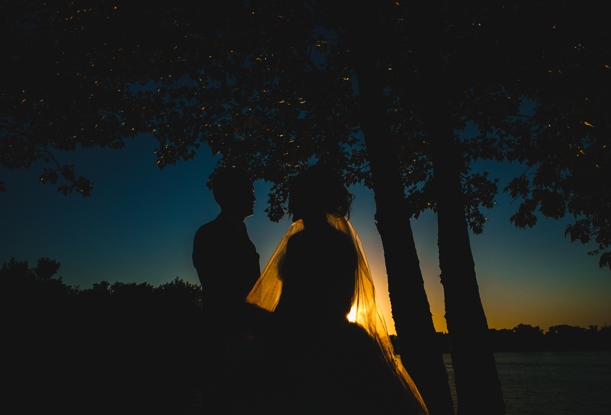 Свадьбы. Фотограф Дмитрий Олейник в Волгодонске и Ростове