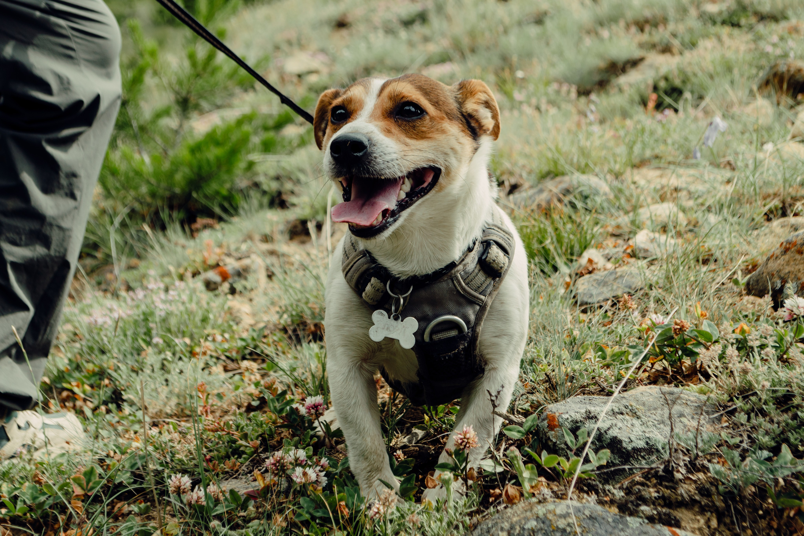 Ущелье Ирик-Чат. Фотограф Настя | Экспедиции и лайфстайл