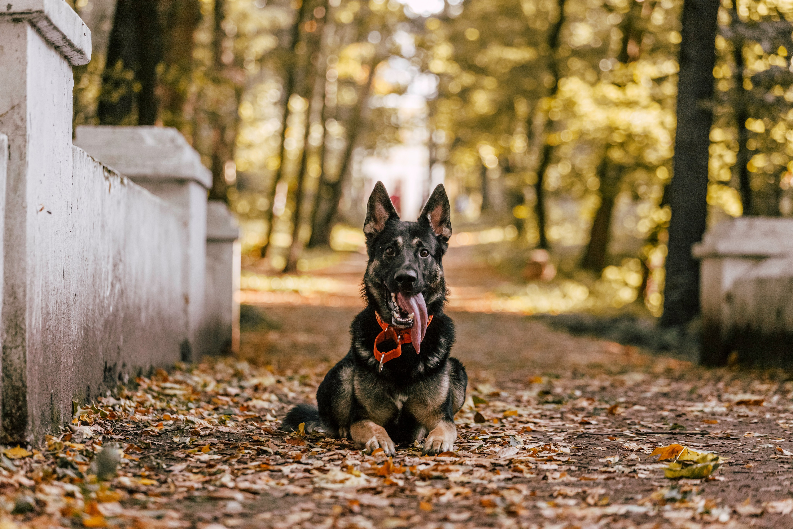 Илай. Фотограф-анималист Татьяна Степанова