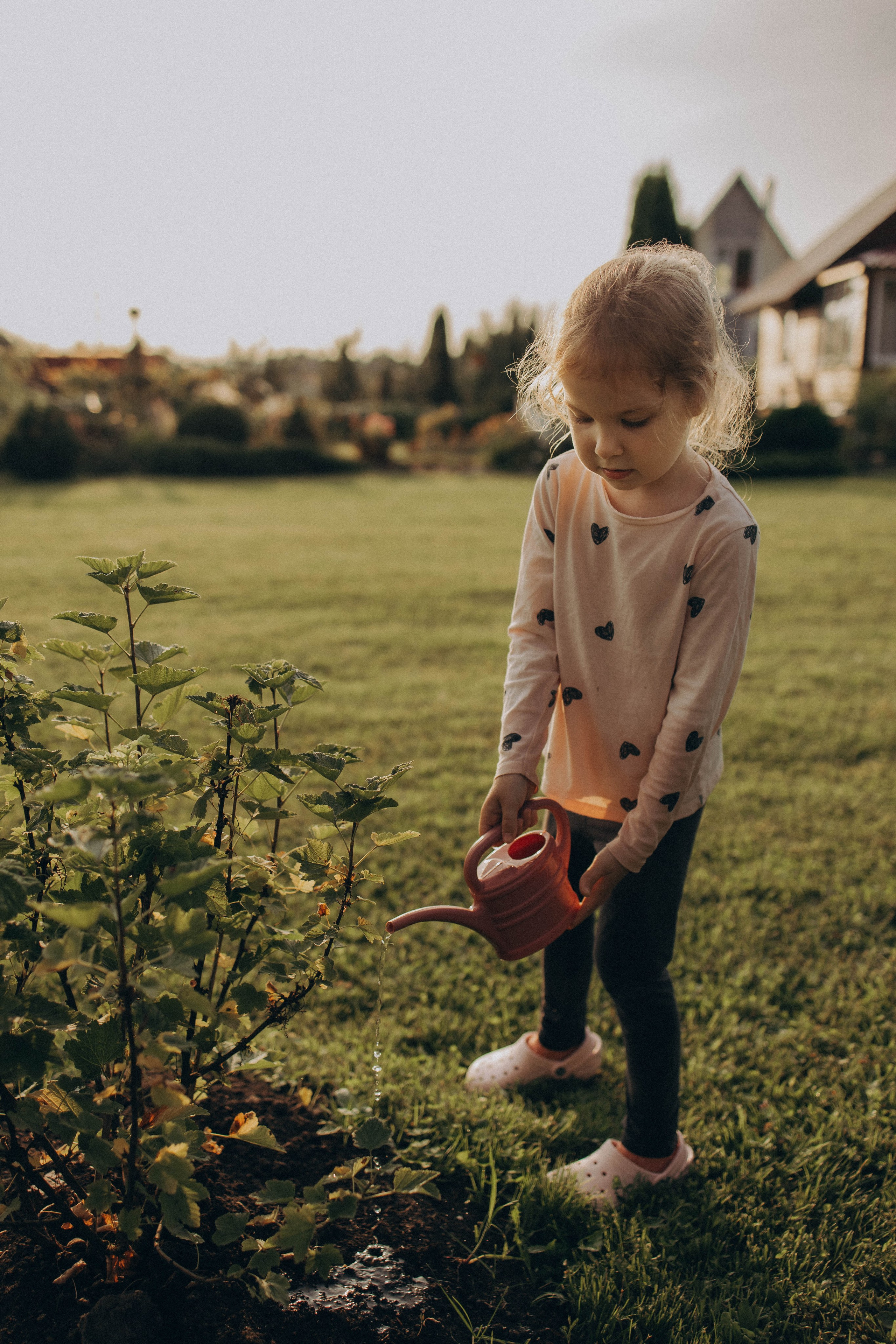 Одним летним днем. Фотограф lifestylе в Москве Пшеничная Анастасия