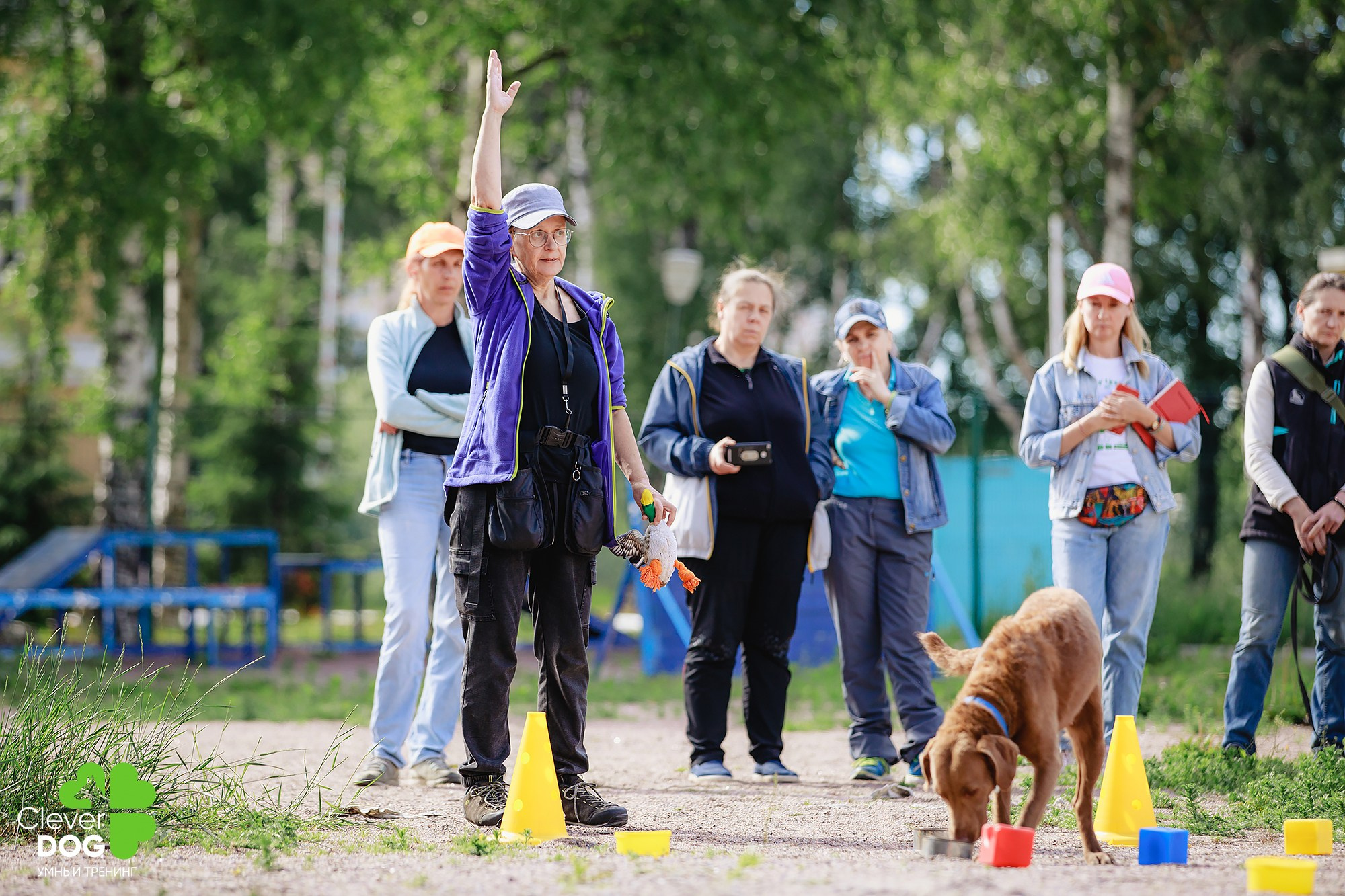 Семинар по поиску запаха с Иваном Ломовым, организатор CleverDog, СПб. Фотограф-анималист Mary Mart — Москва, Питер