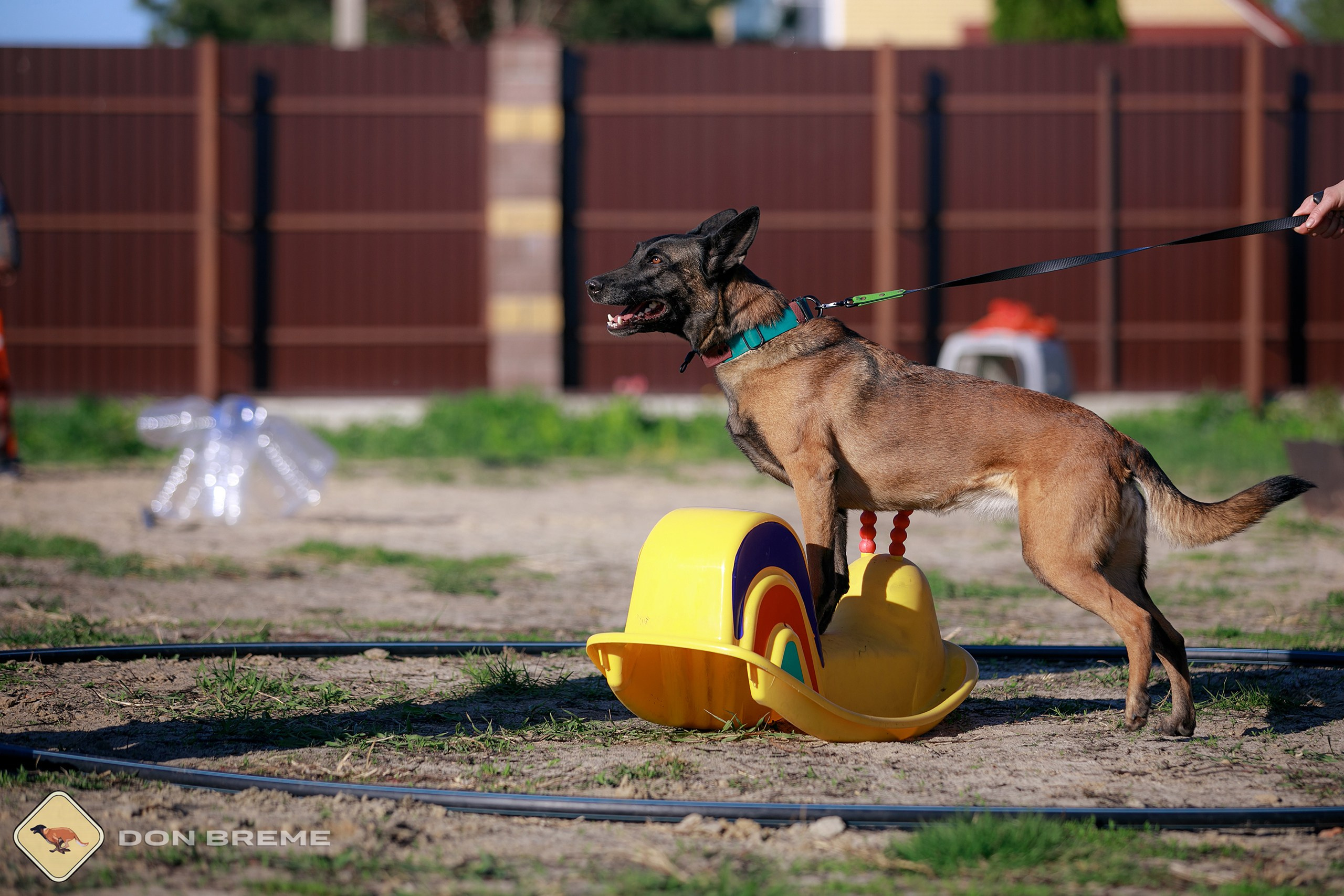 Семинар для фигурантов, день 3. Фотограф-анималист Mary Mart — Москва, Питер