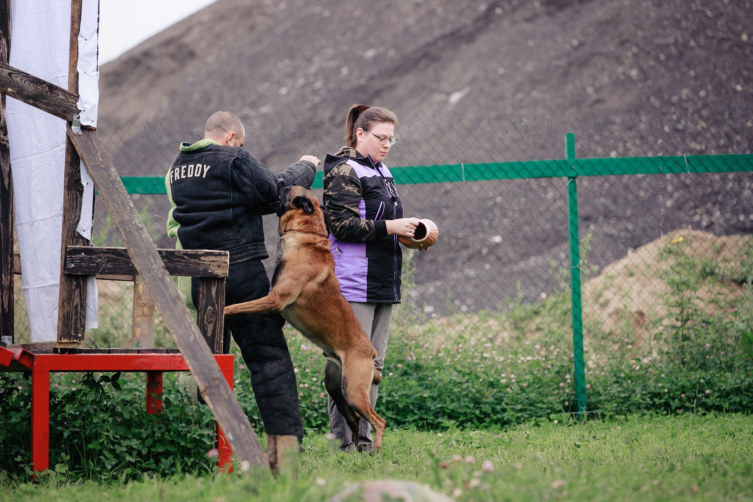 Мондьоринг М1, М2, М3, Вологда. Фотограф-анималист Mary Mart — Москва, Питер