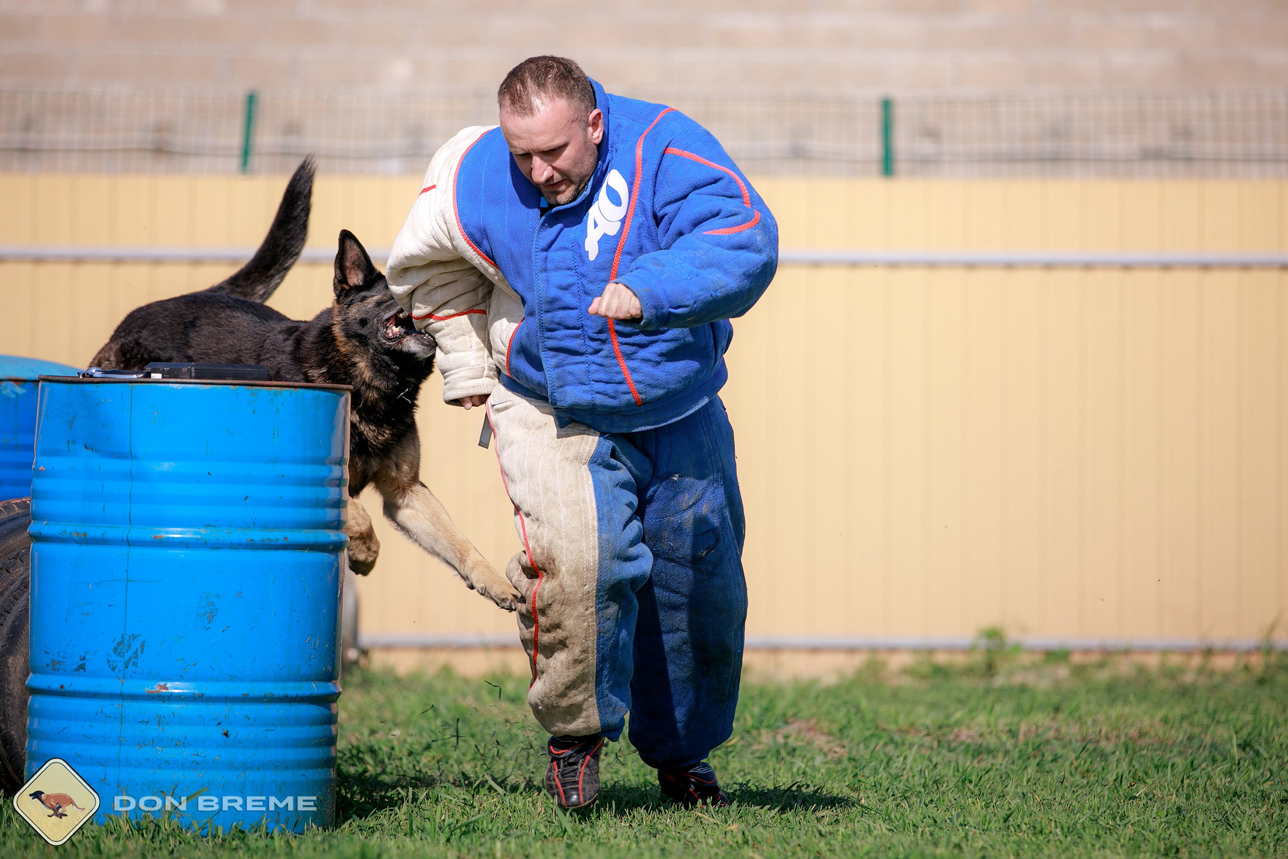 Семинар для фигурантов, день 4. Фотограф-анималист Mary Mart — Москва, Питер