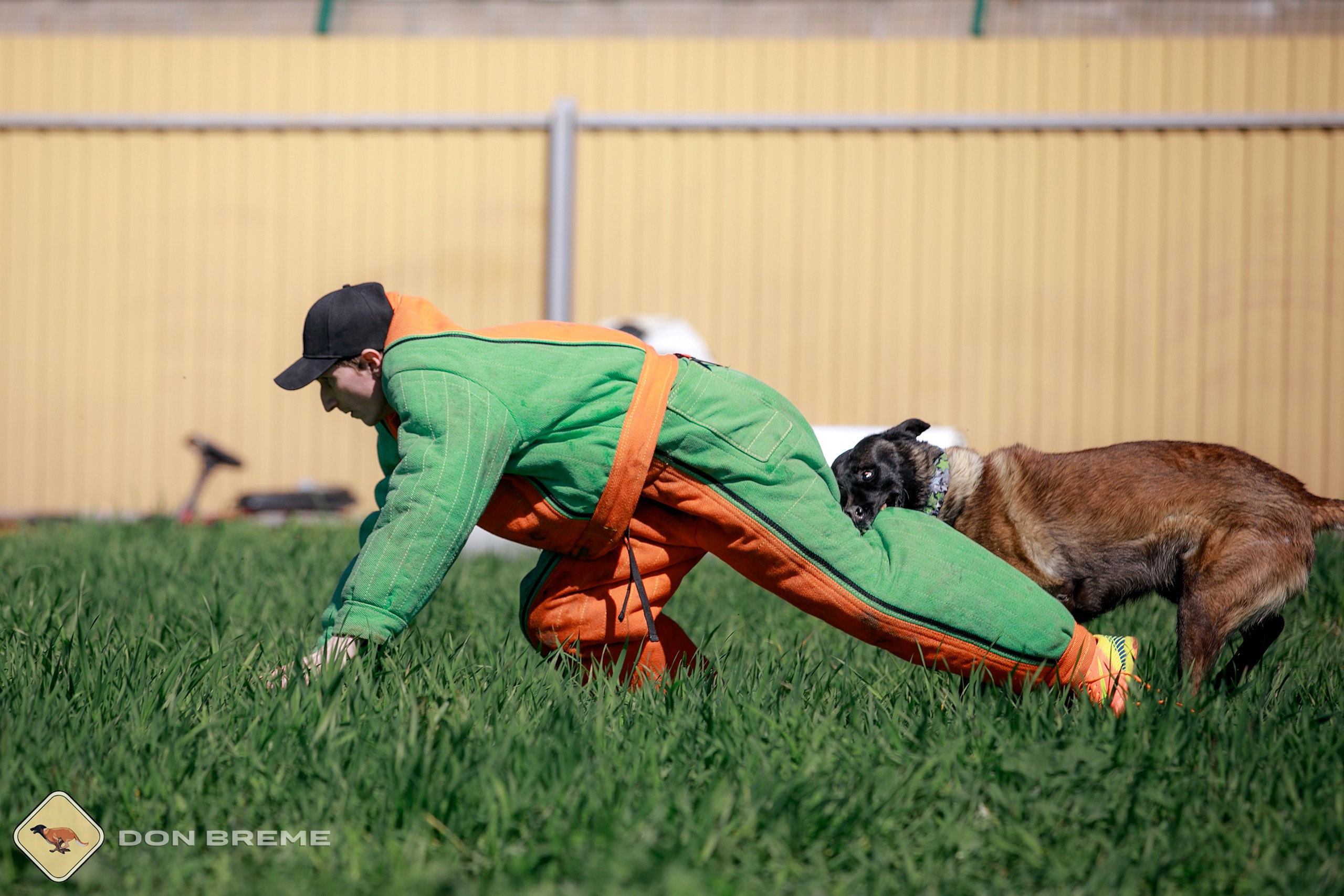 Семинар для фигурантов, день 3. Фотограф-анималист Mary Mart — Москва, Питер