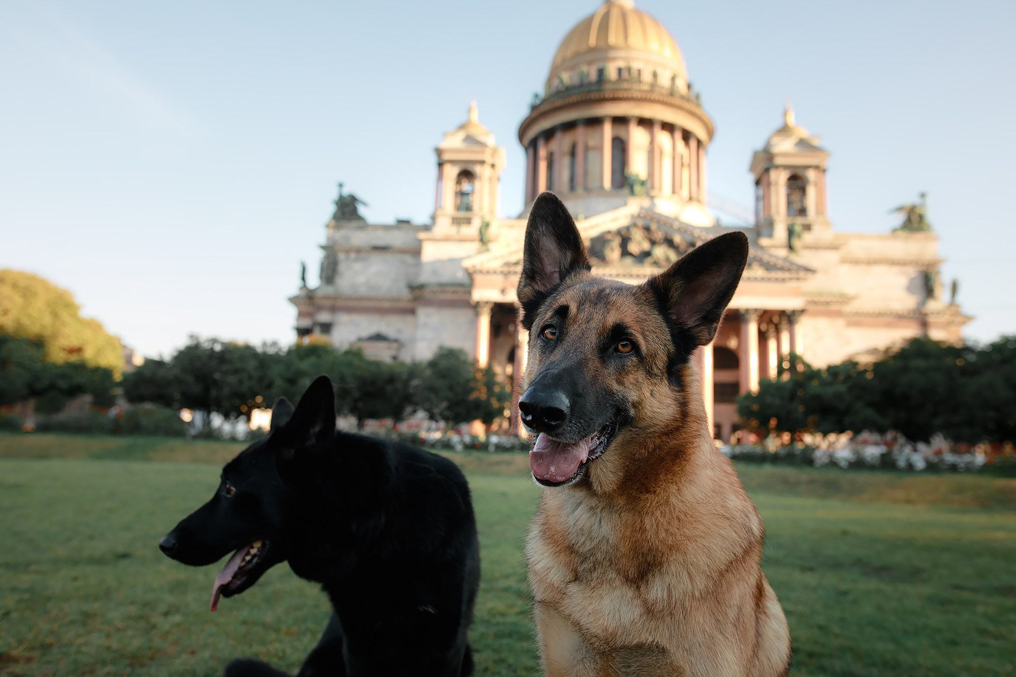 Алена, Кай и Мара. Фотограф-анималист Mary Mart — Москва, Питер