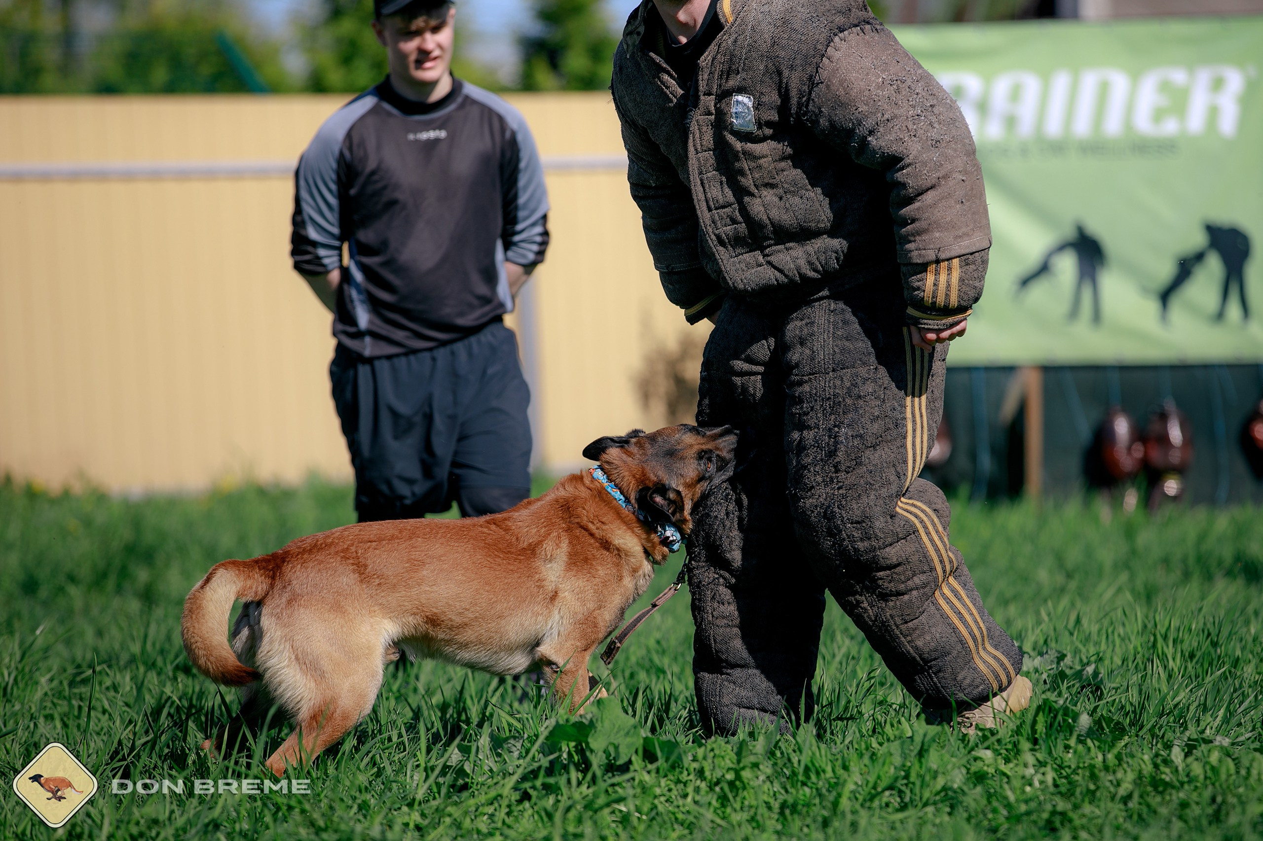 Семинар для фигурантов, день 3. Фотограф-анималист Mary Mart — Москва, Питер