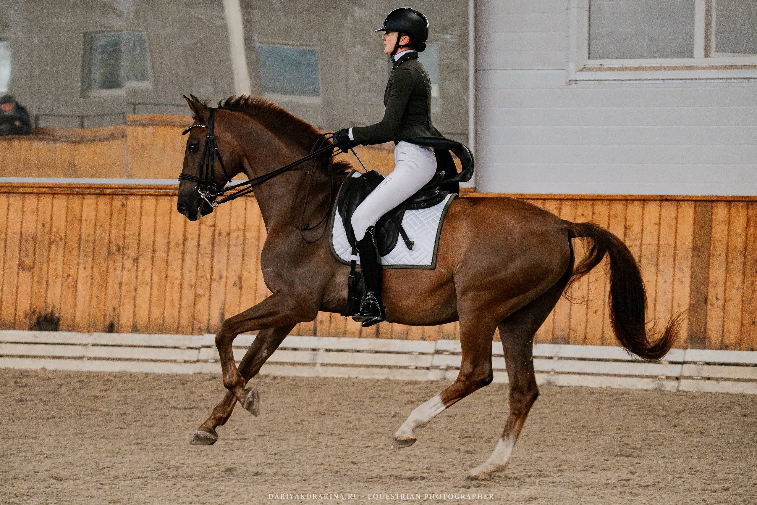 ОСЕННИЙ КУБОК по ВЫЕЗДКЕ в КСК «КОНКОРД». Куракина Дарья • Конный фотограф