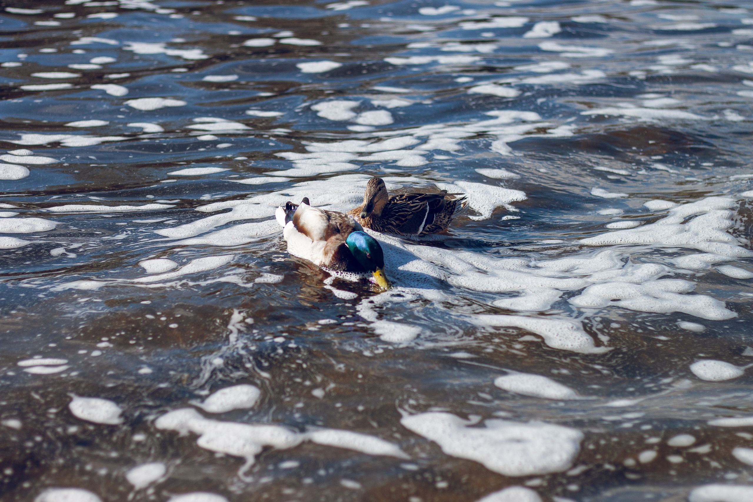 Репортажная съемка. Фотограф Екатеринбург