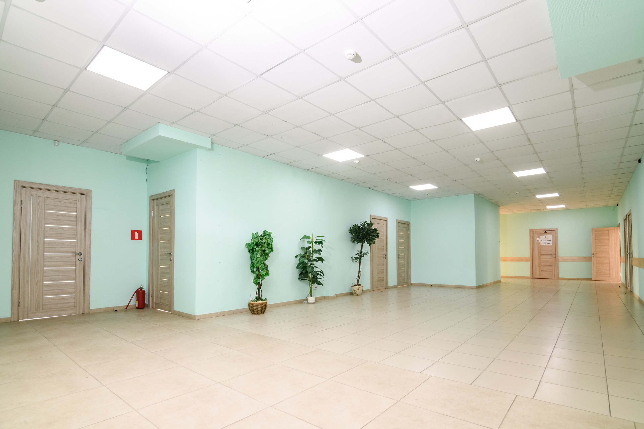 Интерьерная. Аренда коммерческого помещения. Женский фотограф в Санкт-Петербурге Степлевич Дарья