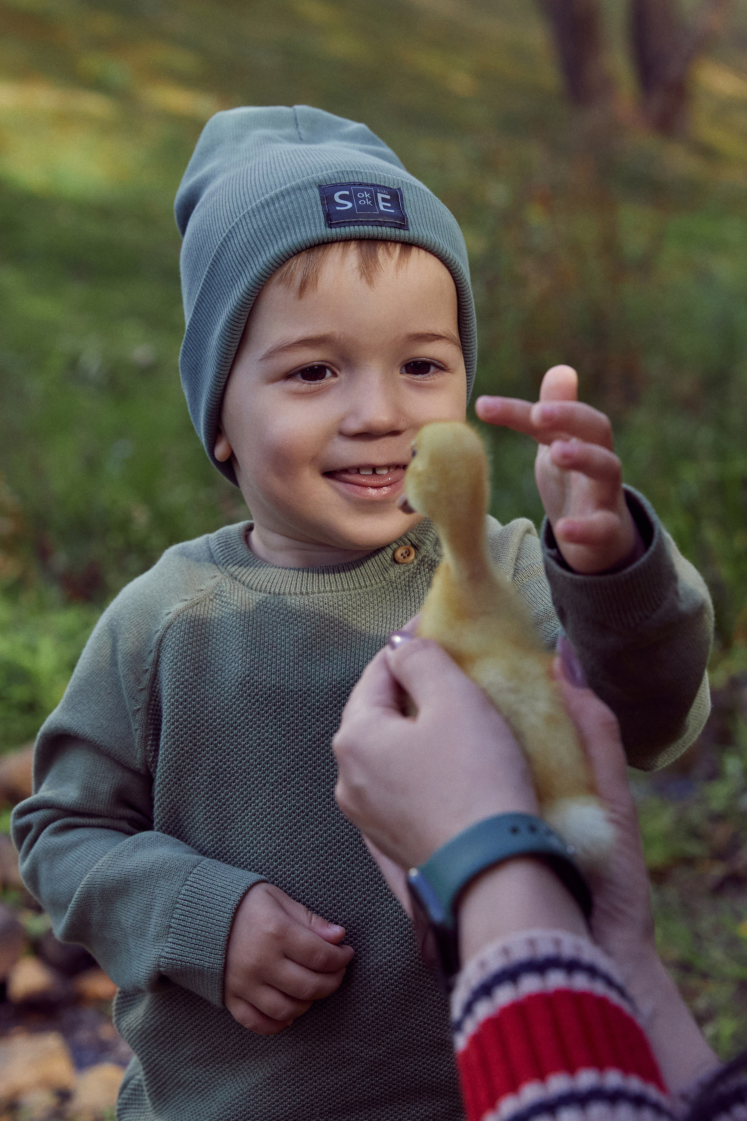 Фотодень с утятами (пруд). Фотограф