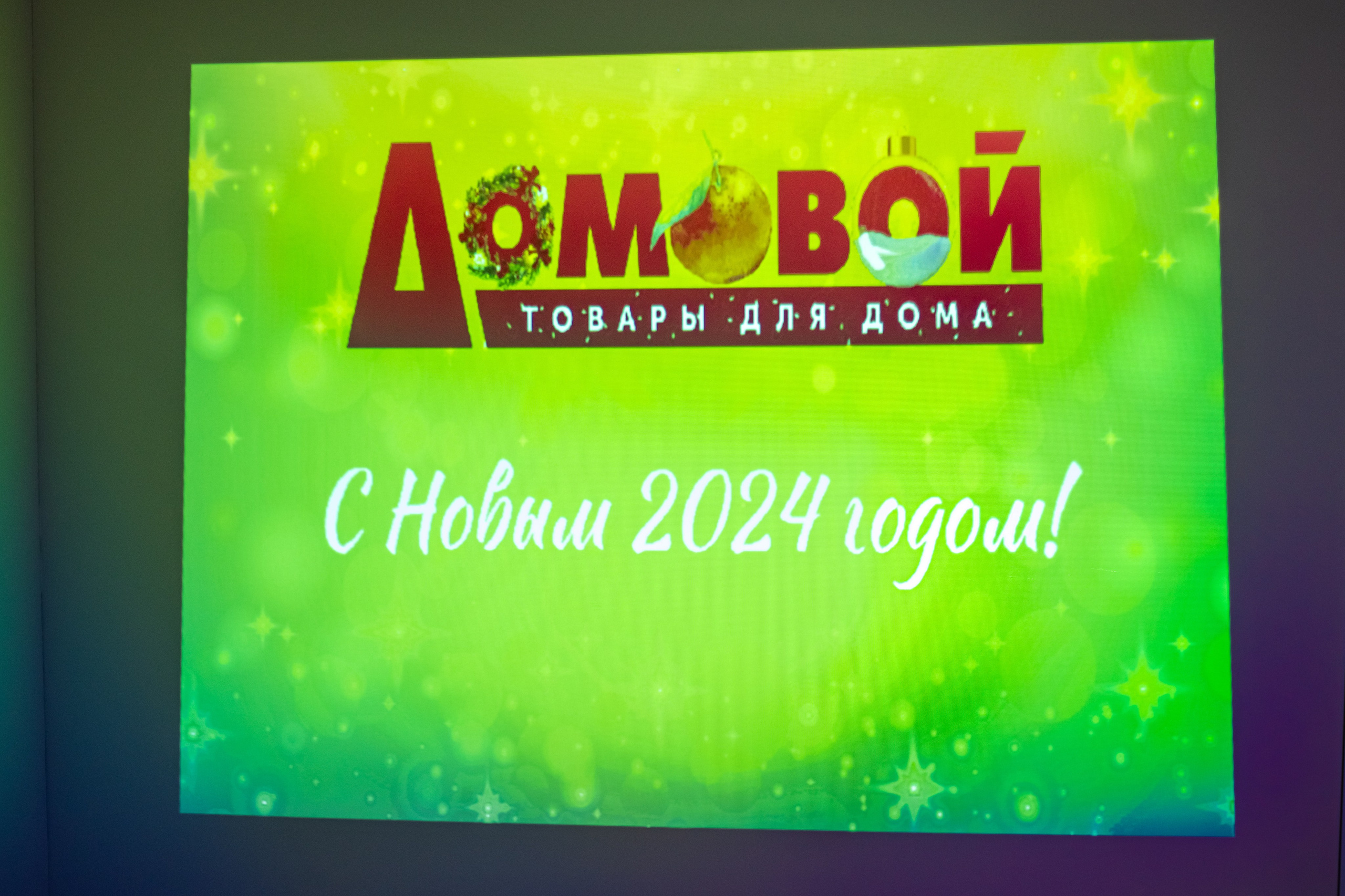 Домовой — Новый год. Двойняшки-фотографы Анна и Анастасия в Санкт-Петербурге