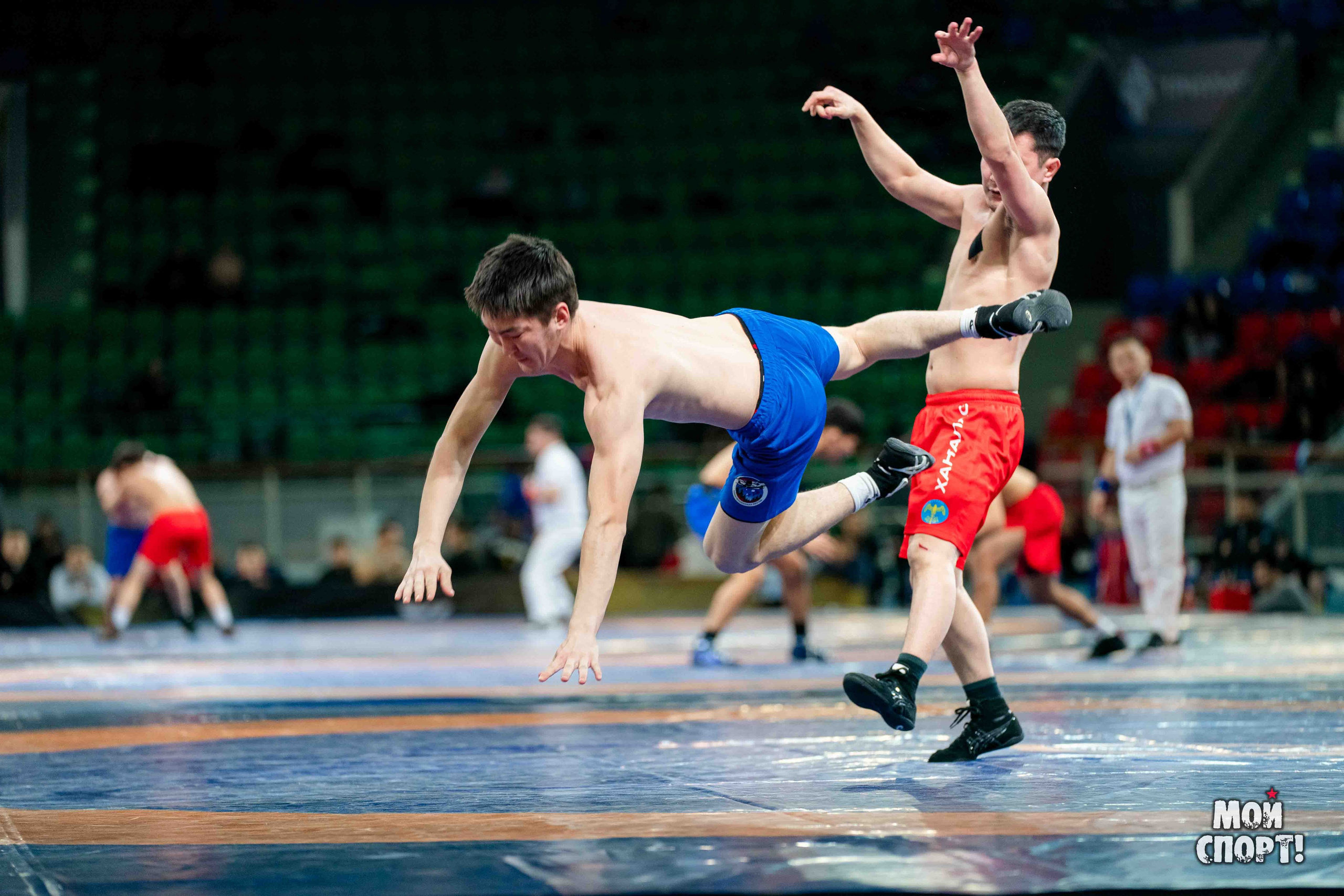 Ханалас Хапсагайа. Студия «Мой Спорт!» — все о спорте в Якутии