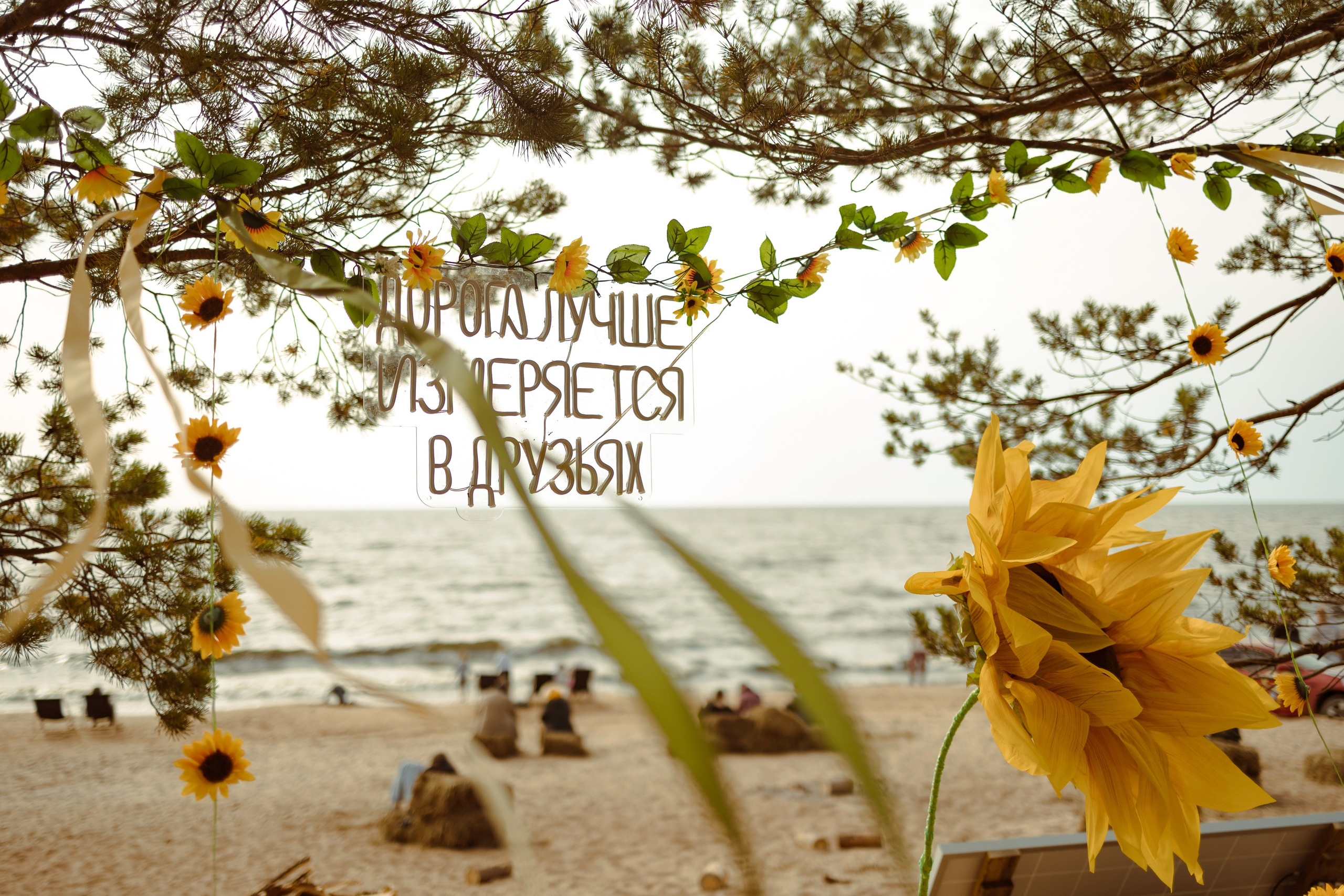 Фестиваль Hello Camper закрытие 2023. Репортажный и портретный фотограф в Санктпетербурге. Видиосъемка мероприятий в Санкт-Петербурге