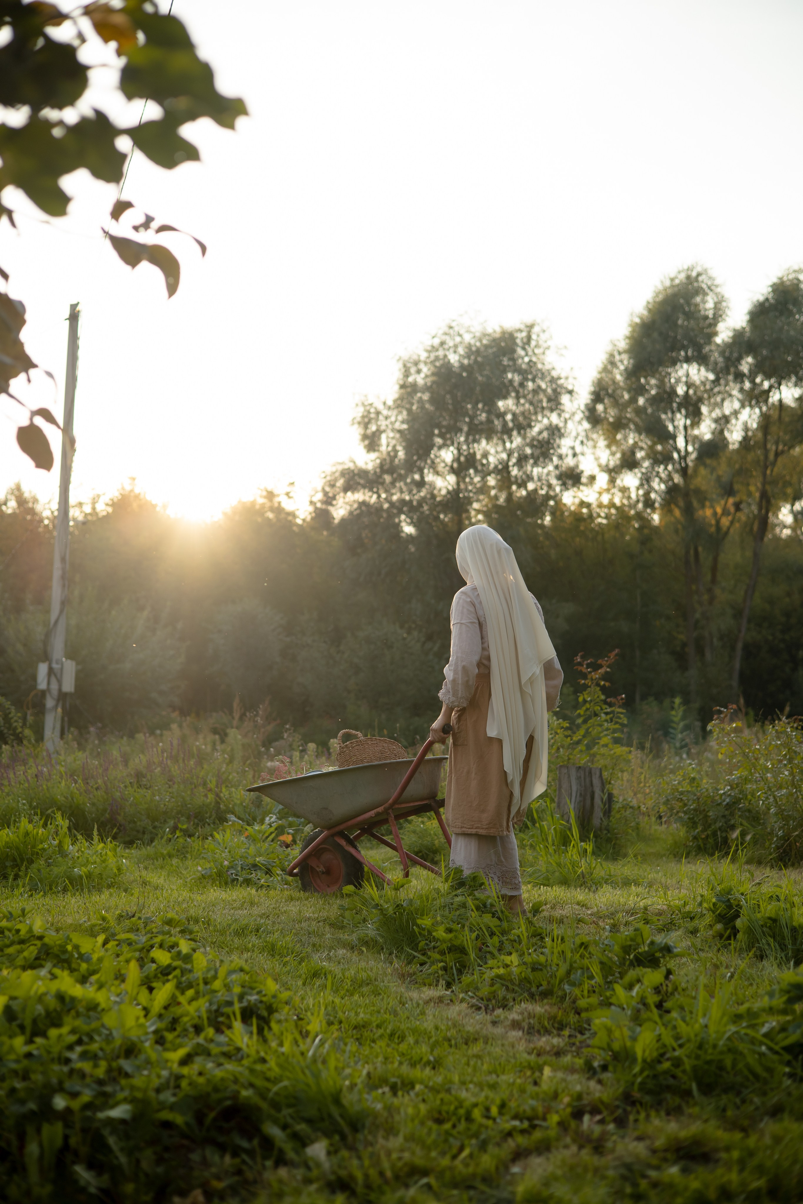 ДИНИЯ. Фотограф Элла Ефимова