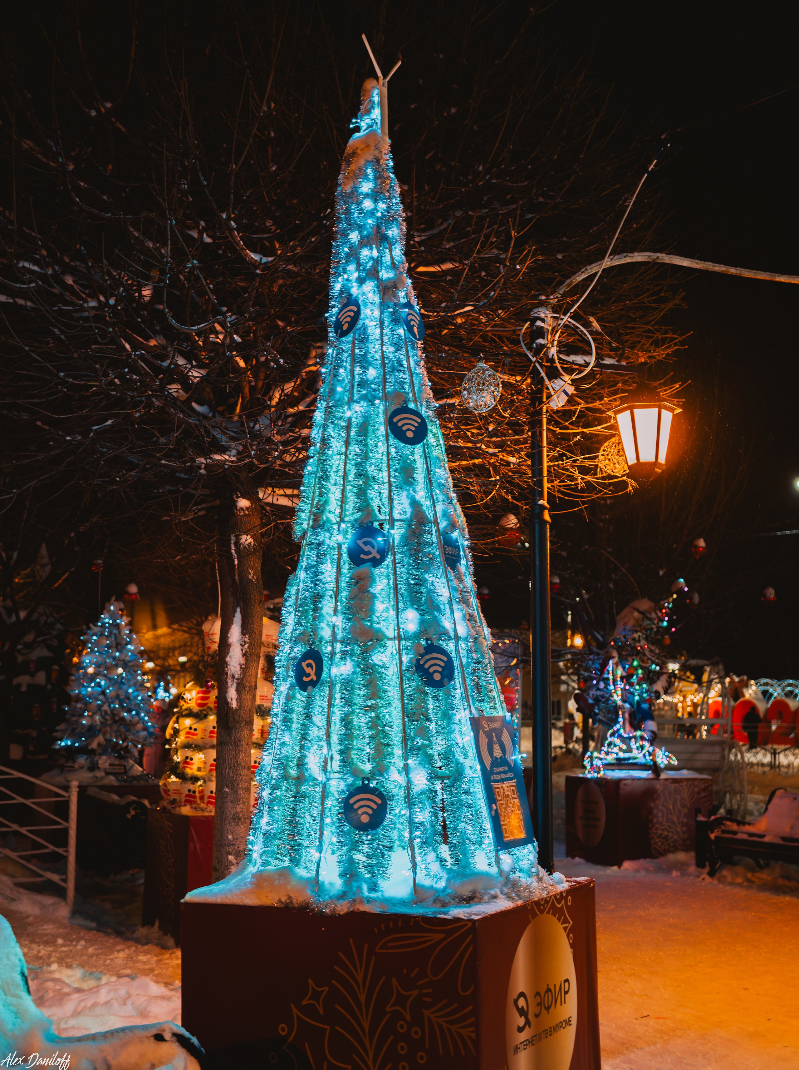 Елки 2025. Муром-Инфо. Новости культуры, образования, спорта в городе Муром