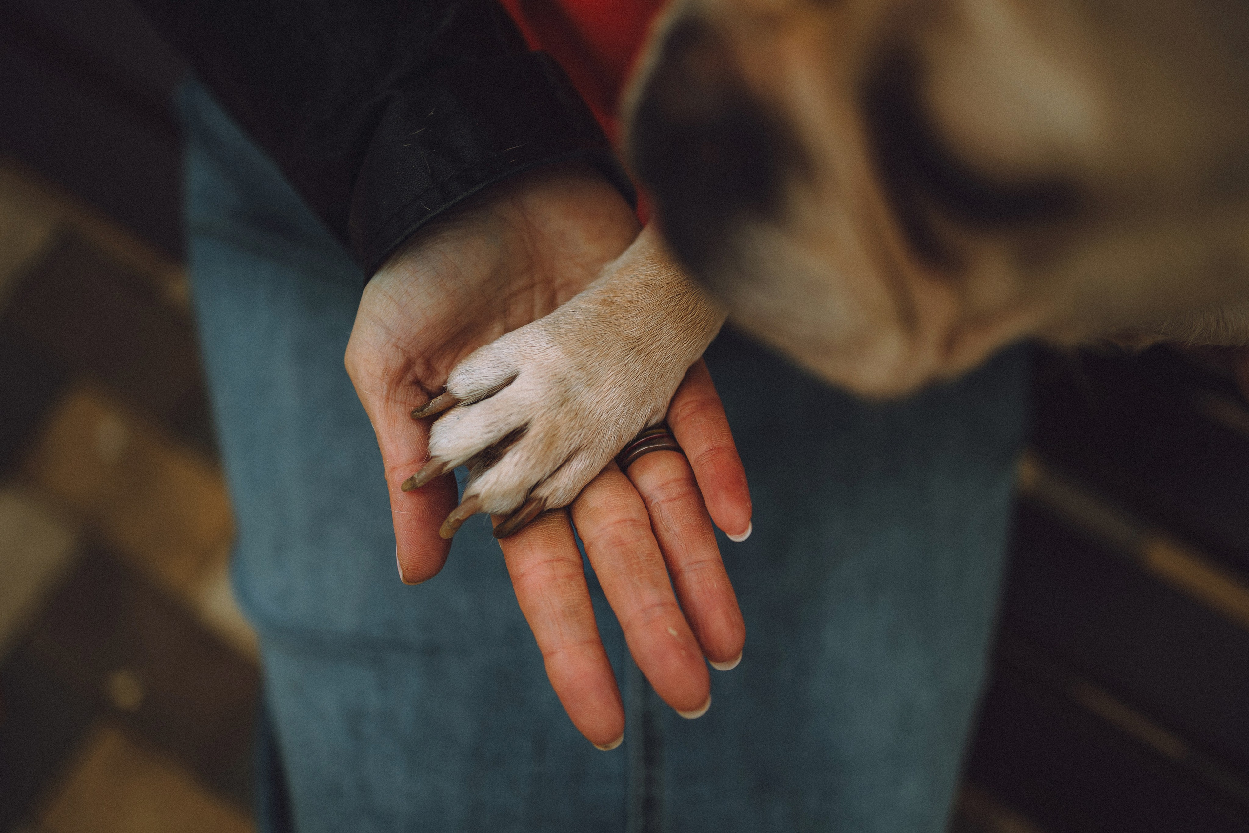 Антонина и Амиша