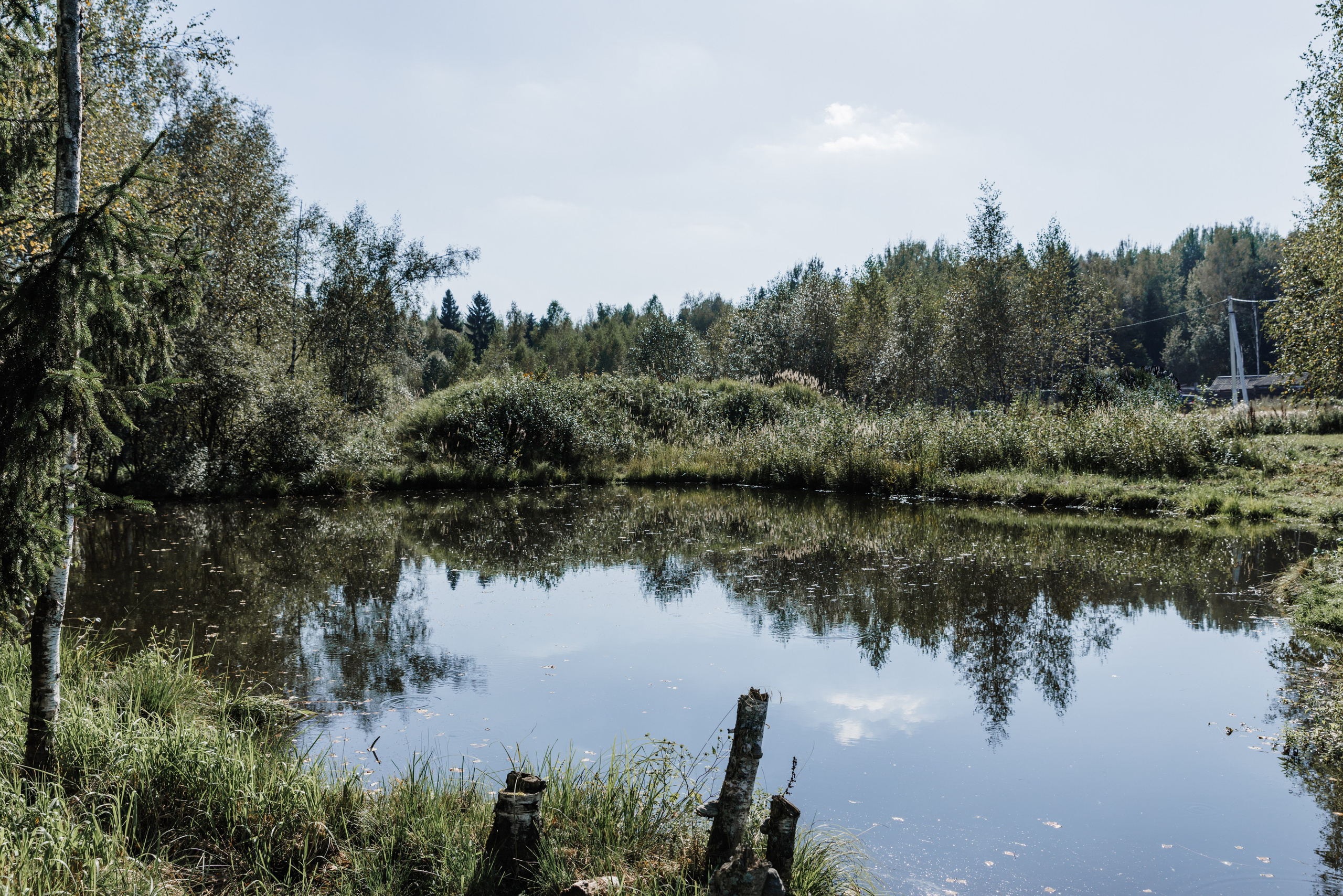 Татьяна и Владимир. Фотограф Москва Шептаев Артём