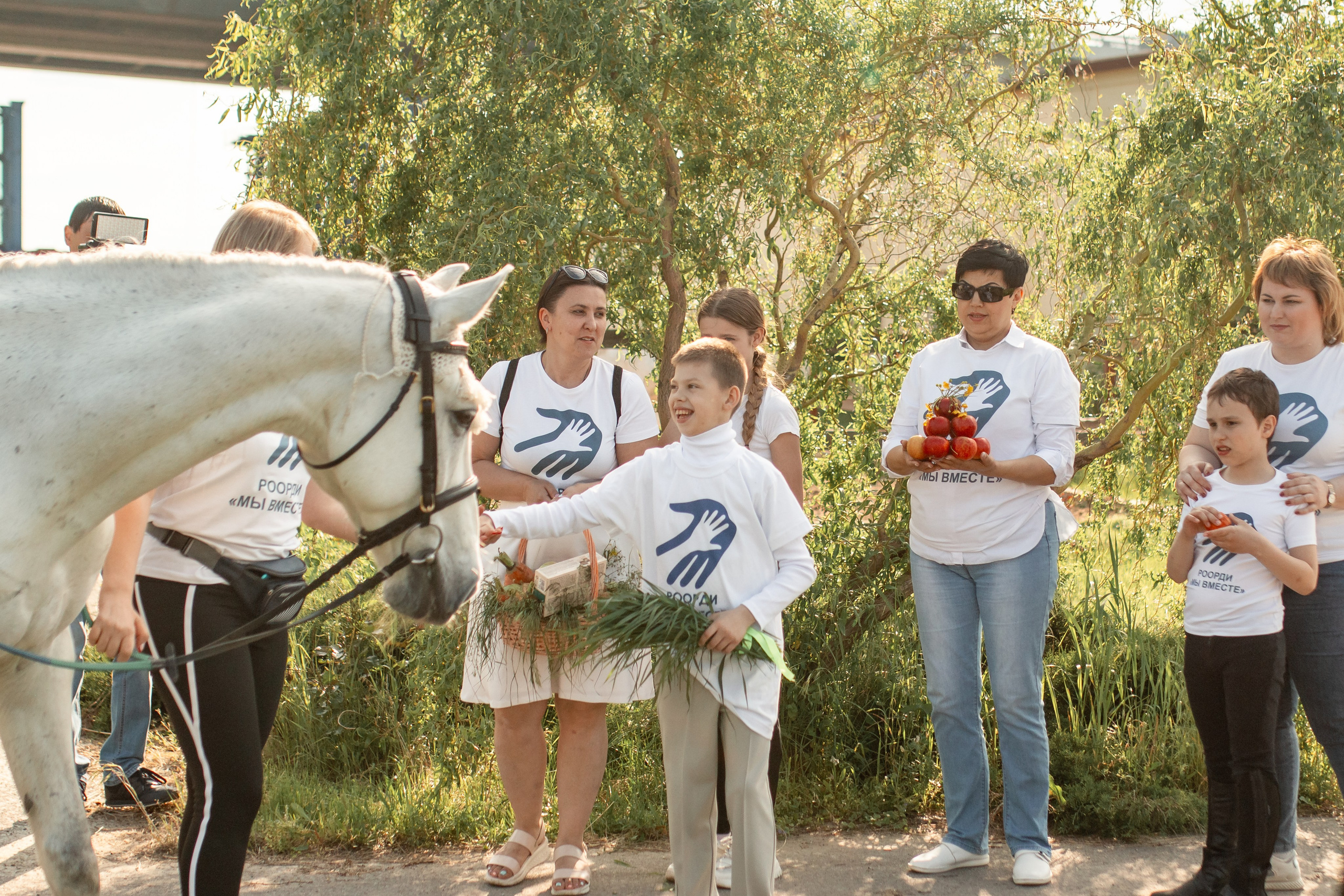 Новости конного спорта