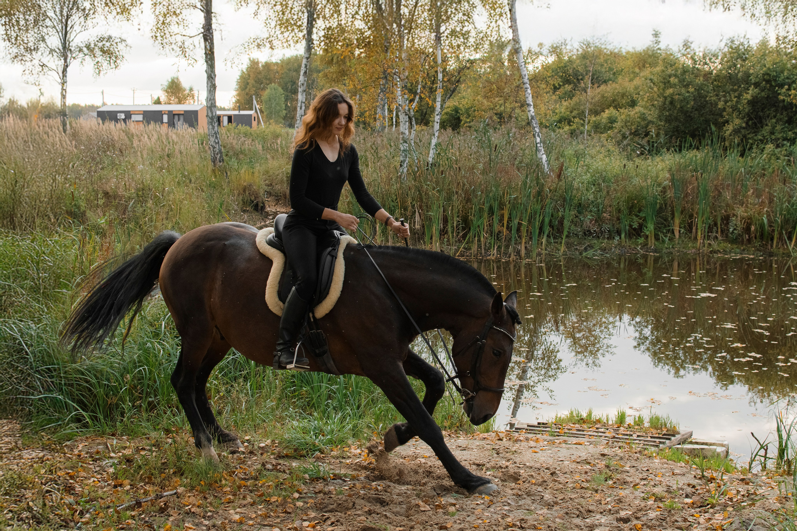 Дом-музей лошадей Хуторъ. Фотографы в Тюмени Андрей и Лидия Войвод