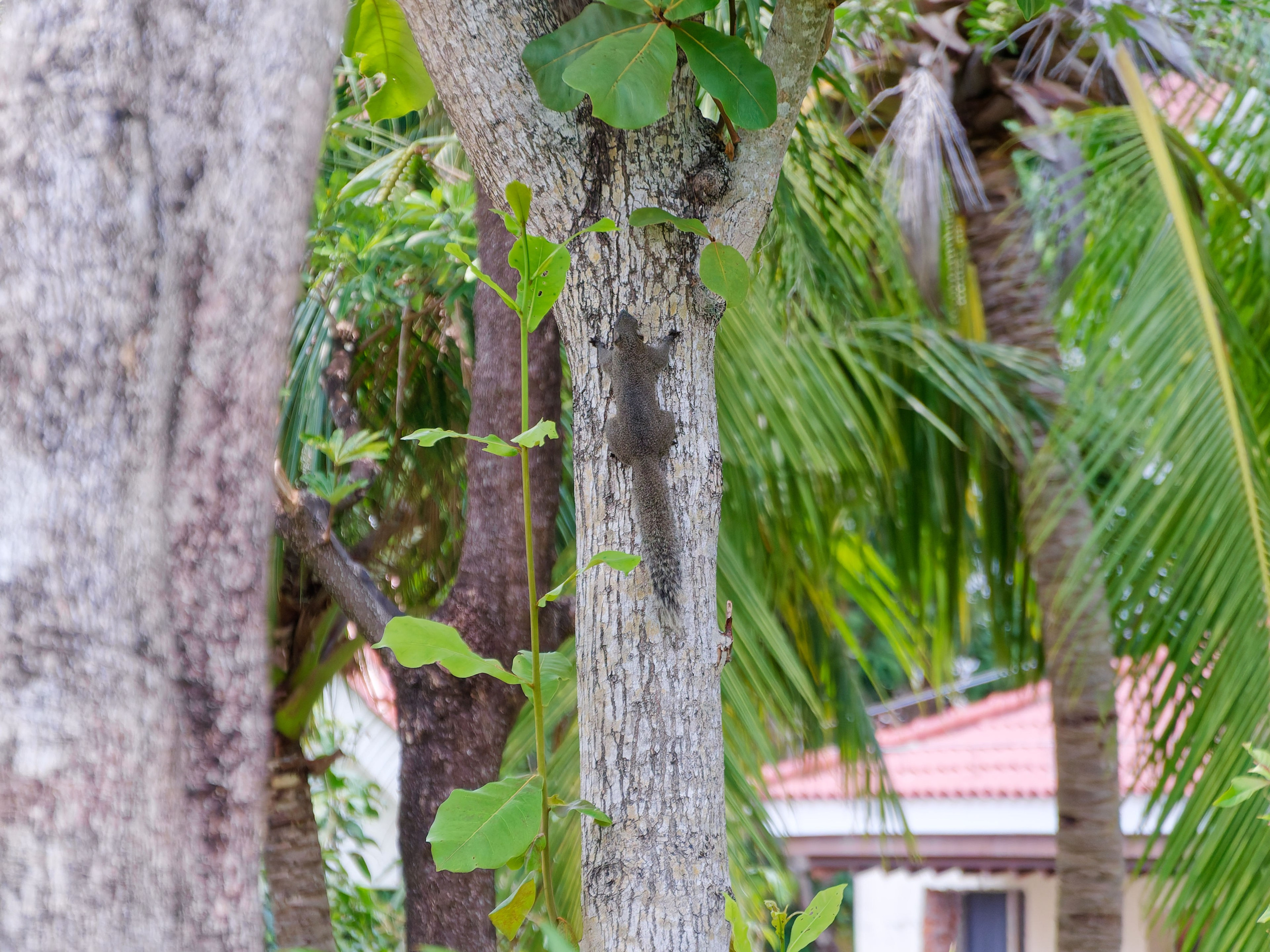 Хайнань 2026, отель «Stony Brook Villa Jianguo Resort Sanya 4*». Фотопрогулки по Миру