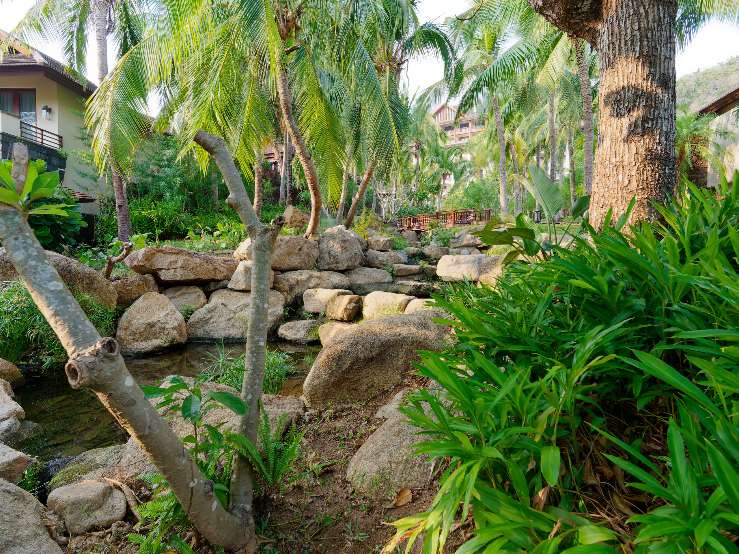 Хайнань 2026, отель «Stony Brook Villa Jianguo Resort Sanya 4*». Фотопрогулки по Миру