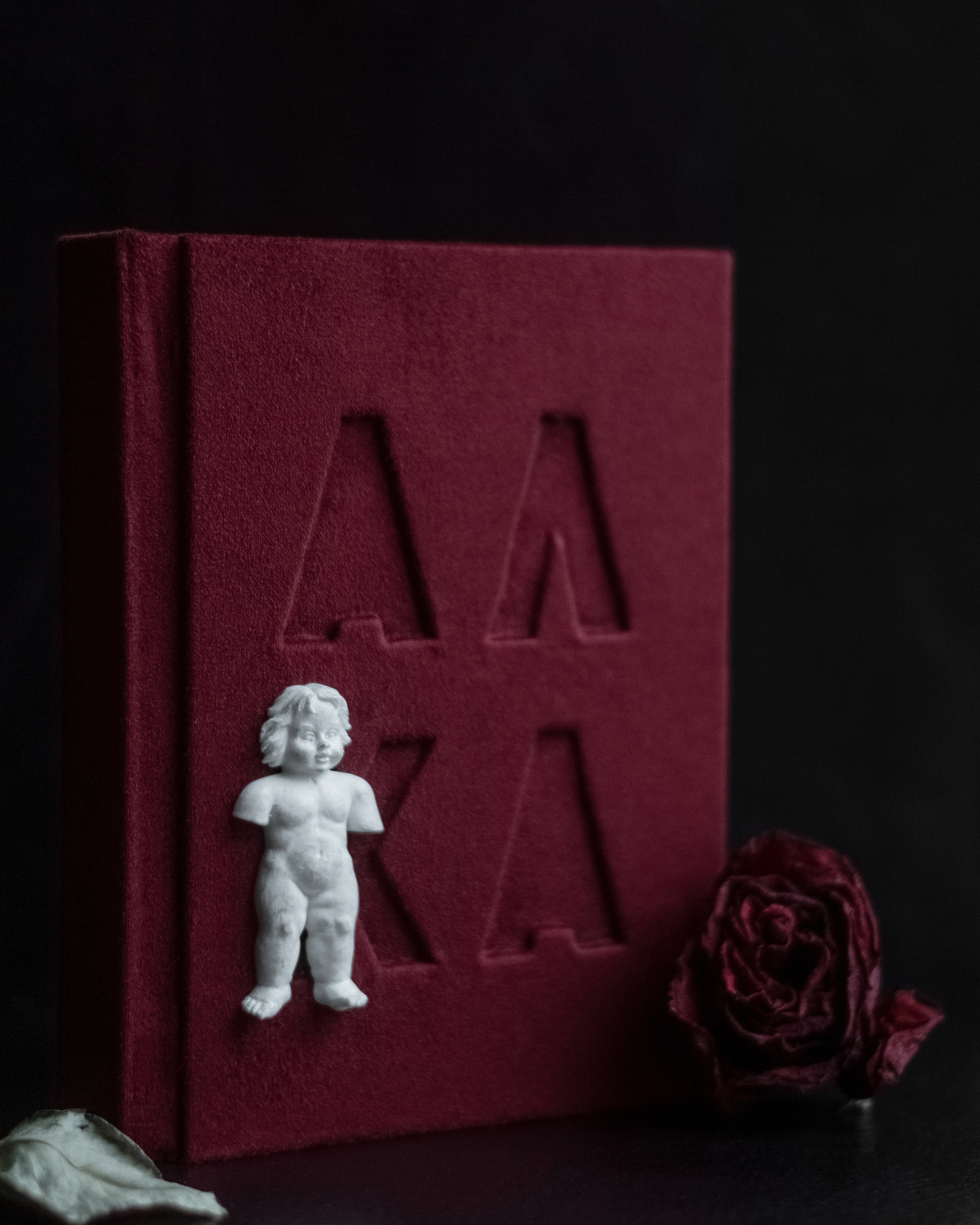 Фотоальбомы. Анастасия — фотограф