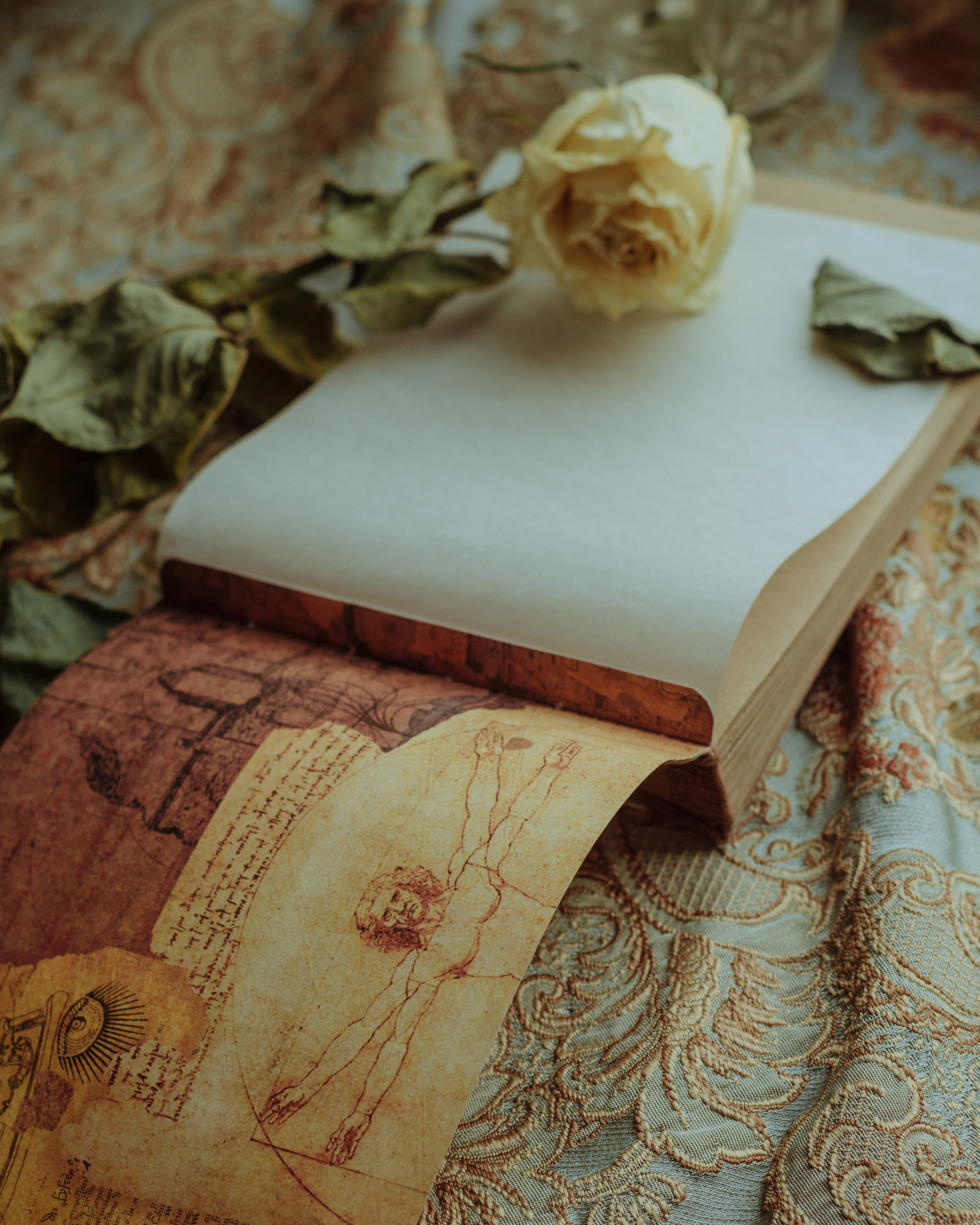 Фотоальбомы. Анастасия — фотограф