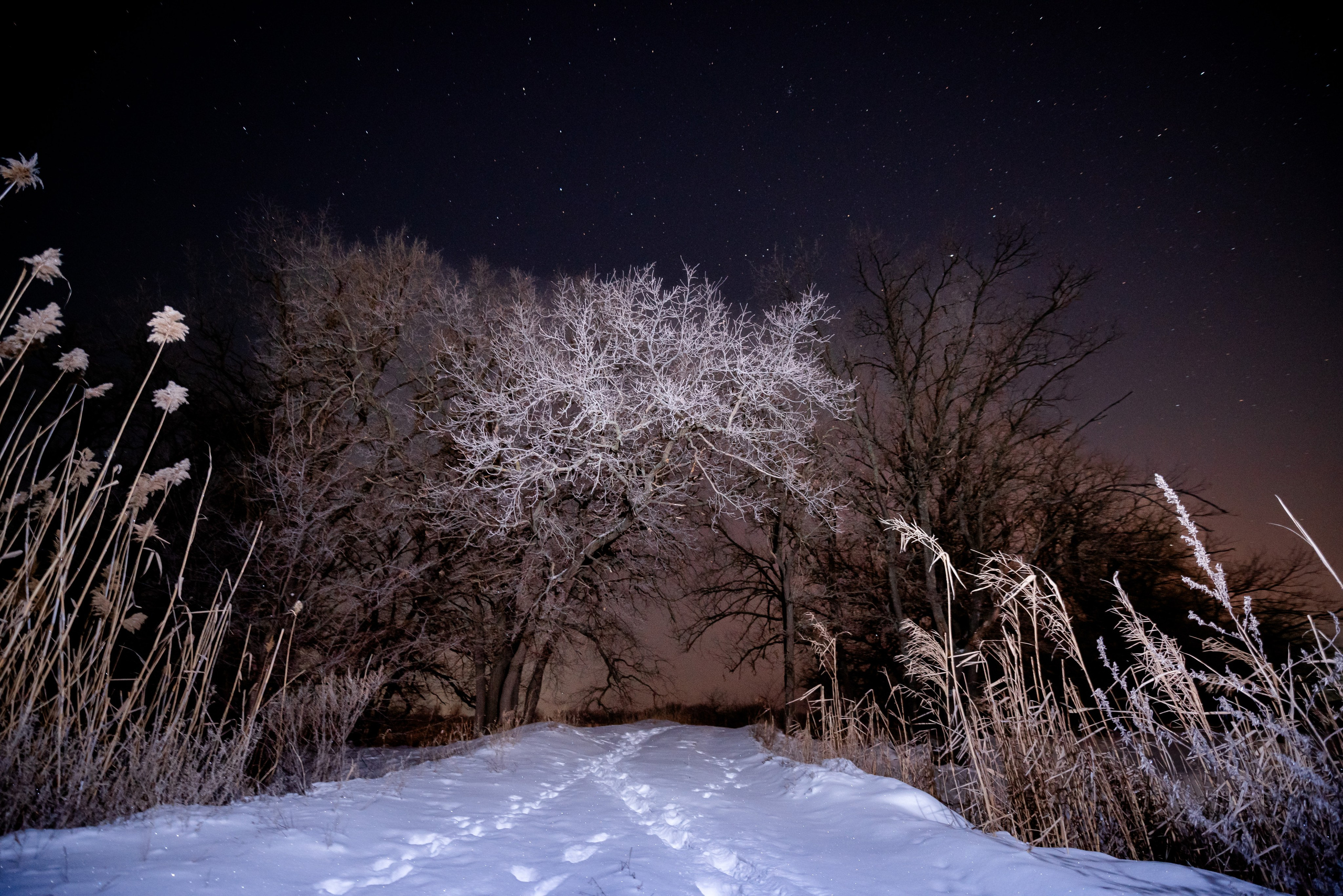 Города, природа, стрит. Фотограф в Волгограде и Волжском Александр Горбань