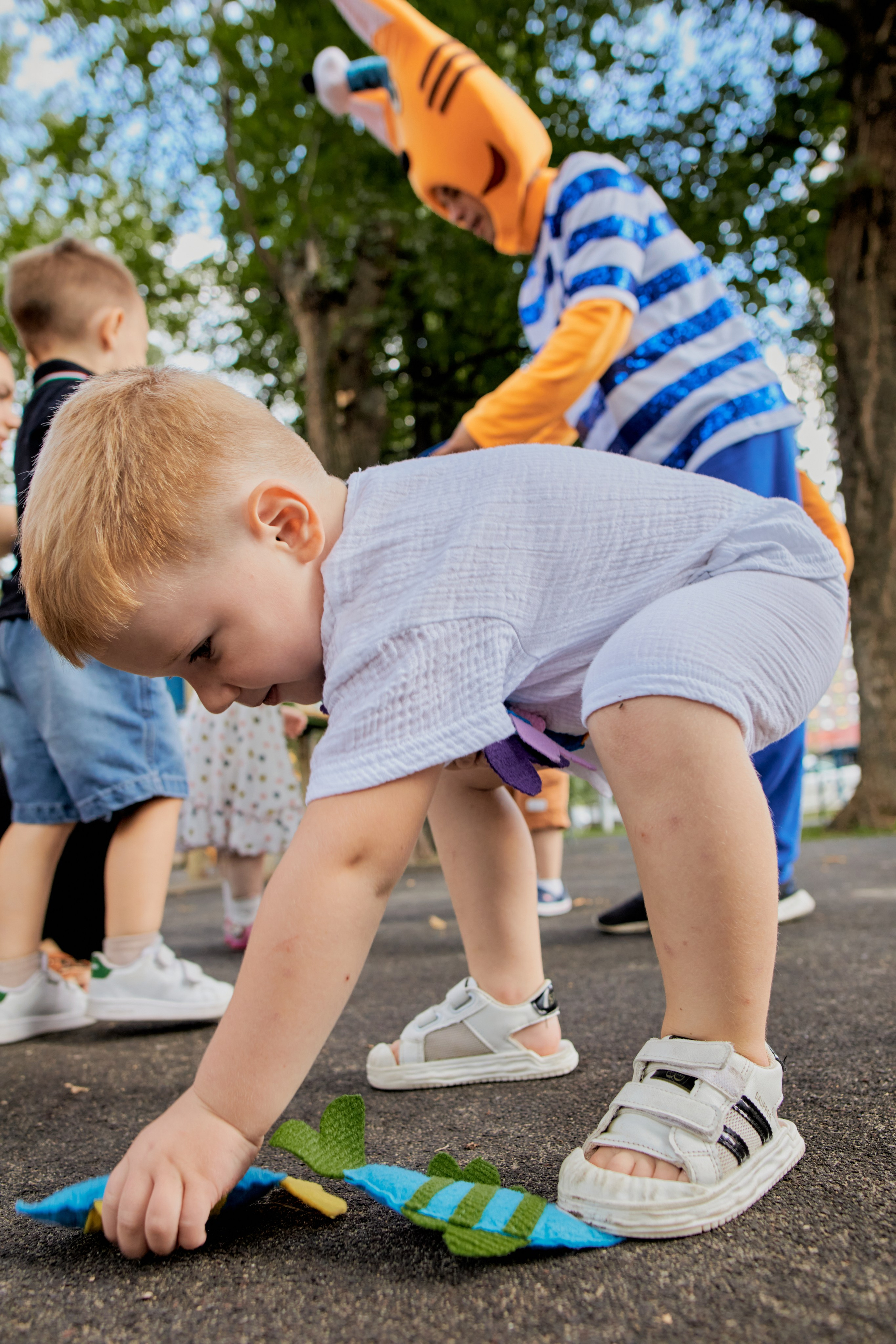 Три кота. Фотограф Москва