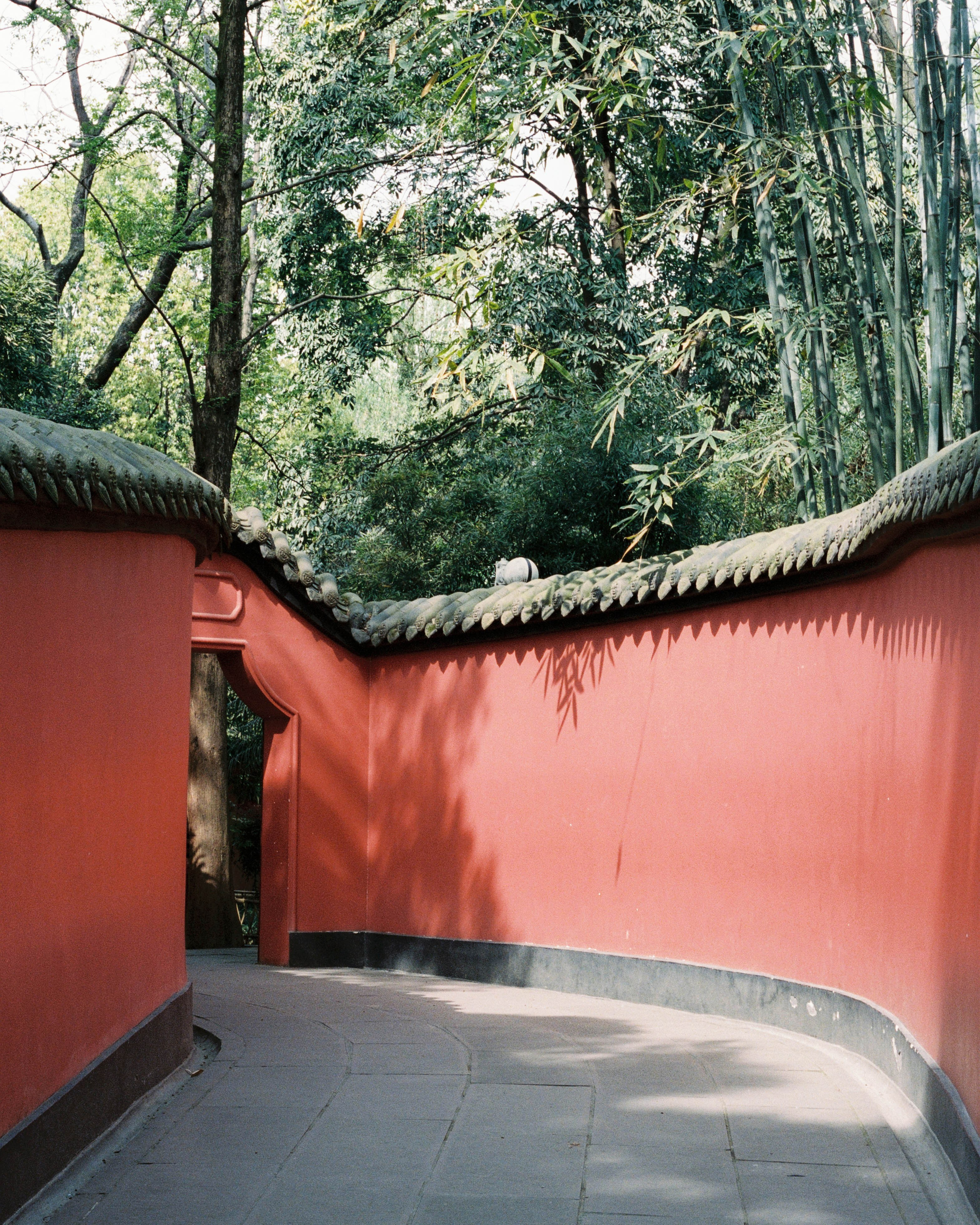 China. Kirill Shashkov