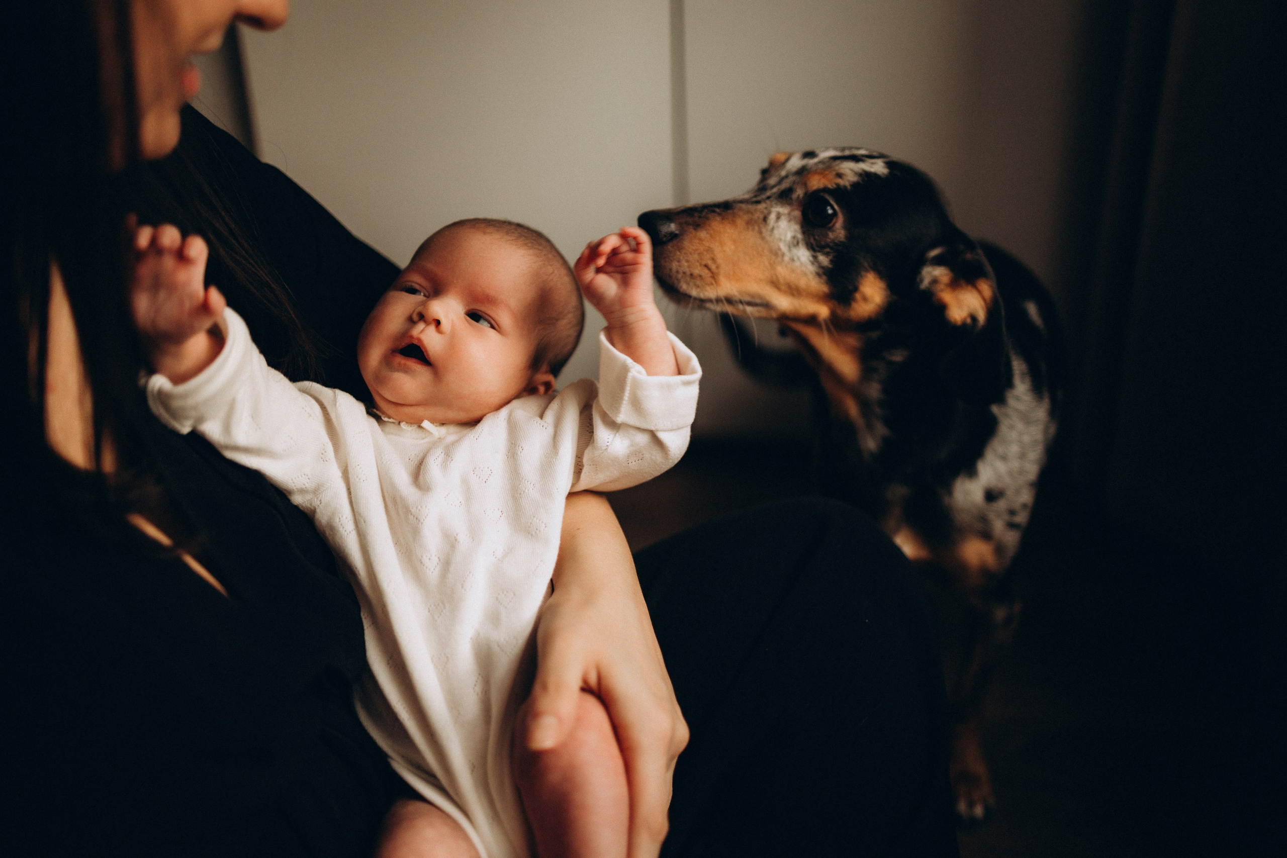 Маша и Варя 2 месяца. Евгения Пелипас