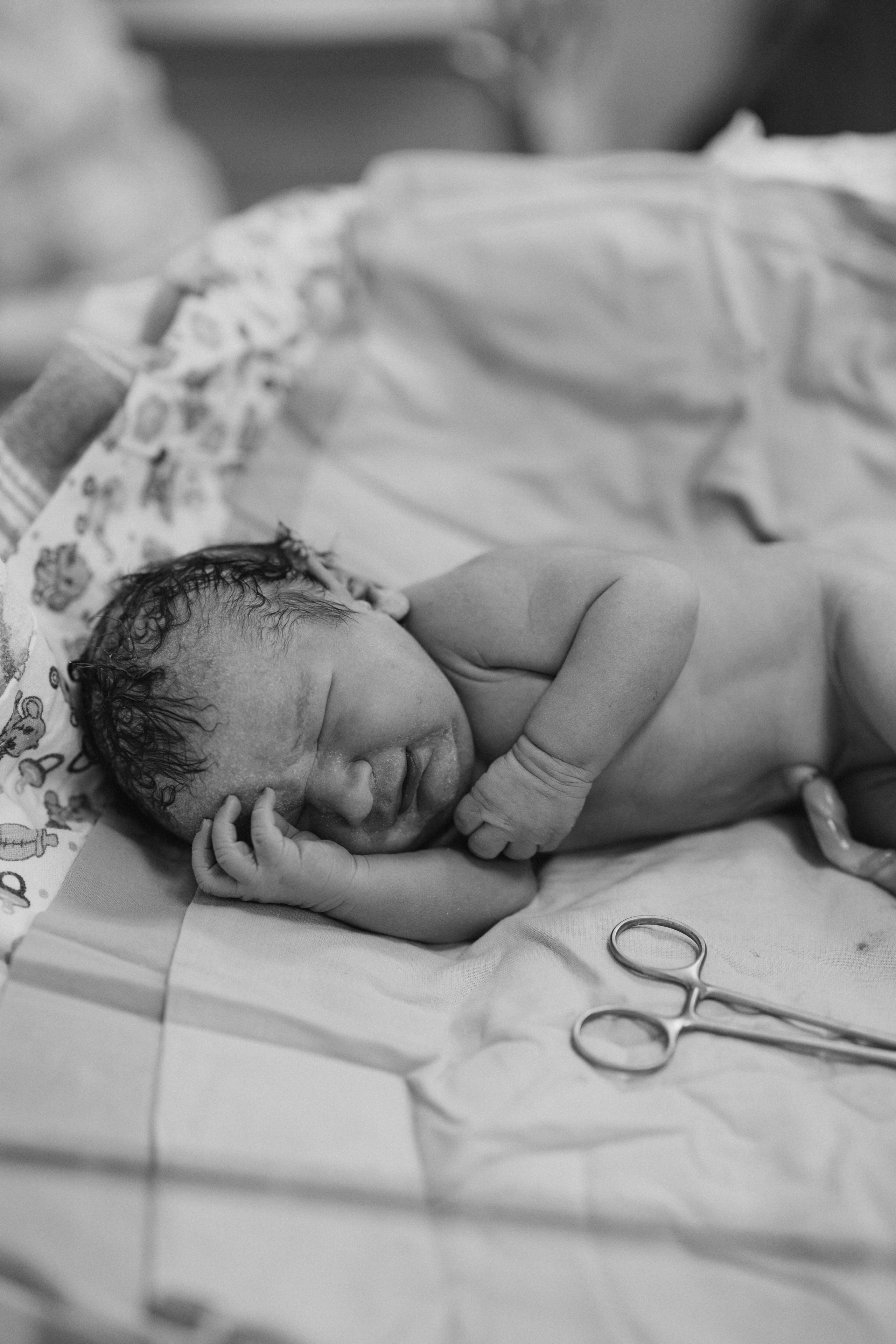 Рождение Владимира. Евгения Пелипас