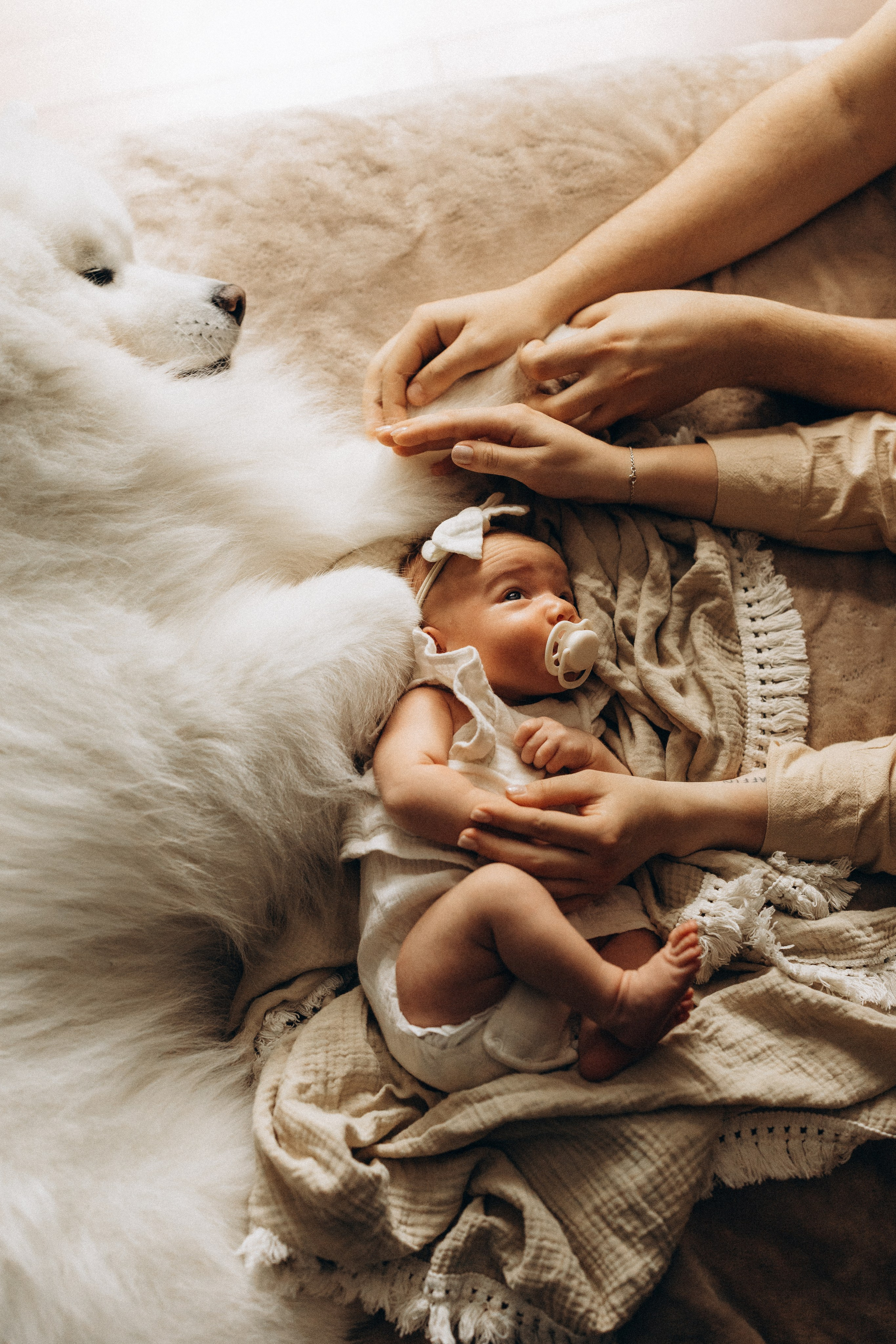 Василиса. Евгения Пелипас