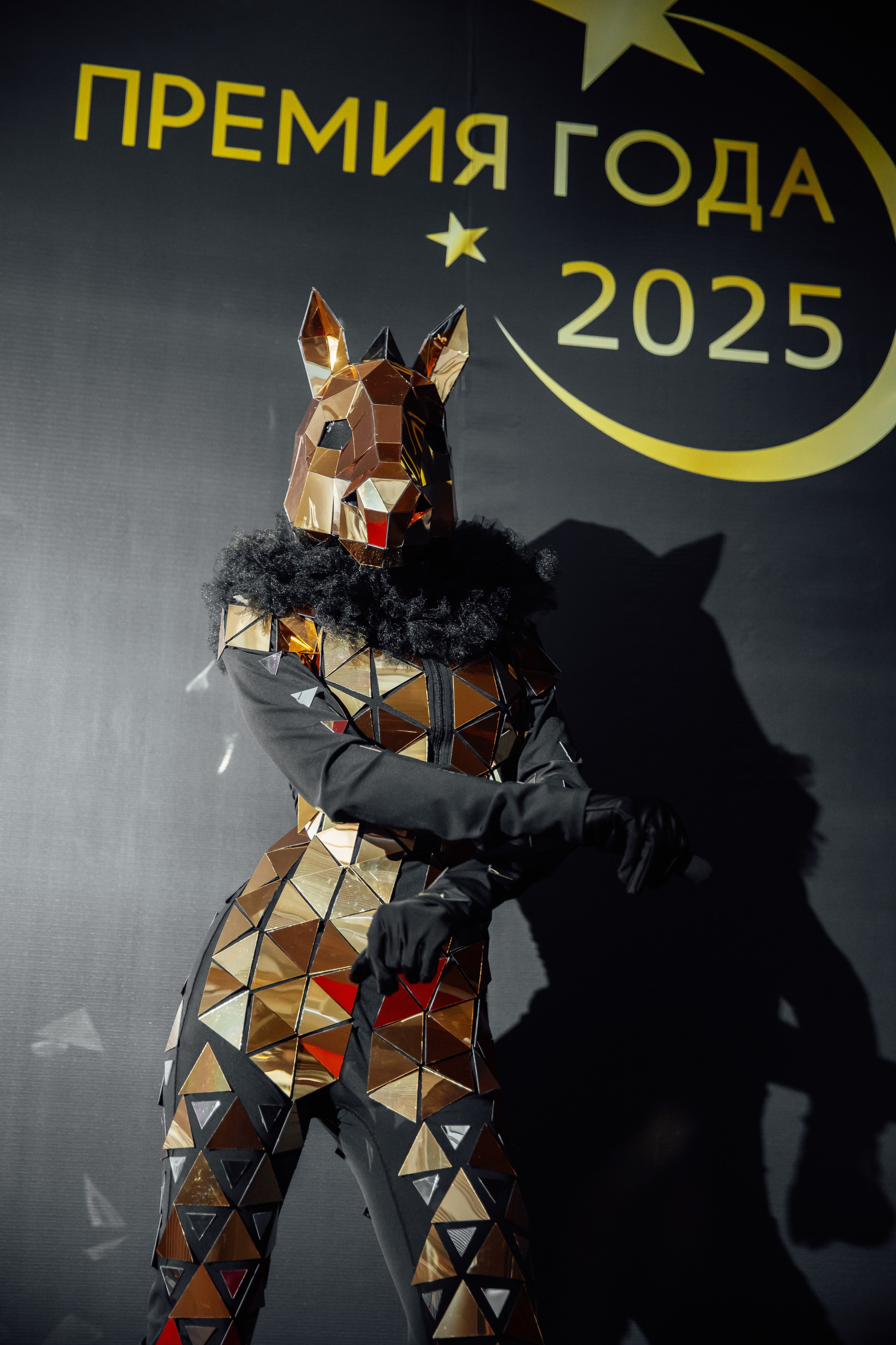 Премия года 2025. Фотограф Анастасия Романова Рязань