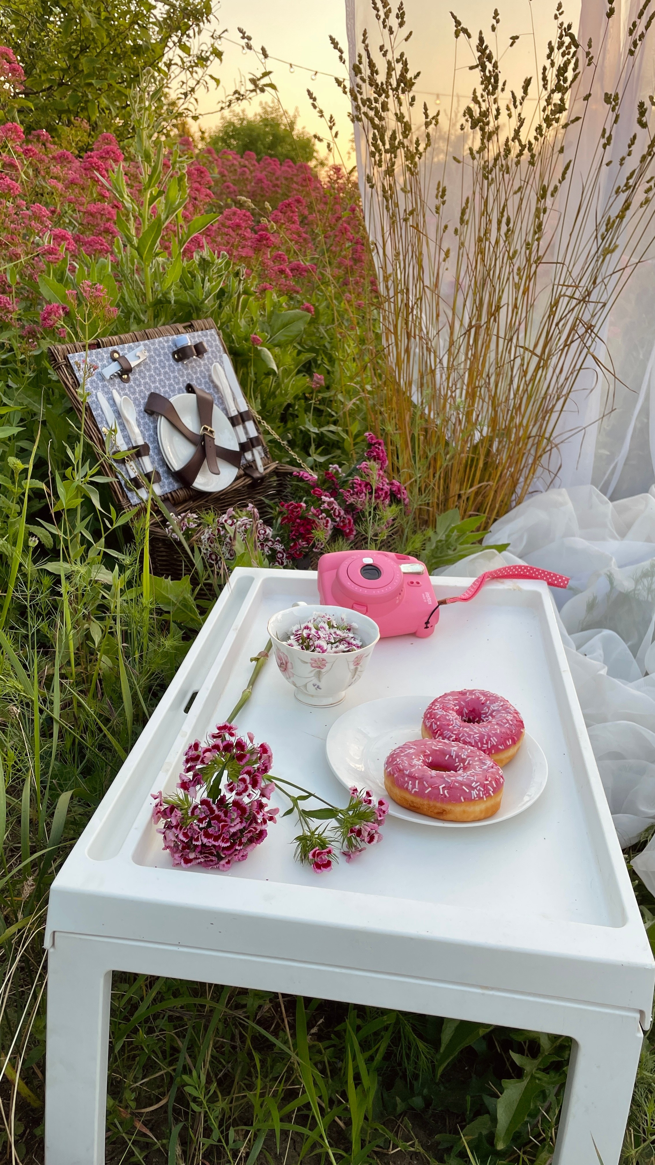 Пикники. Фотостудия Натальи Забродской