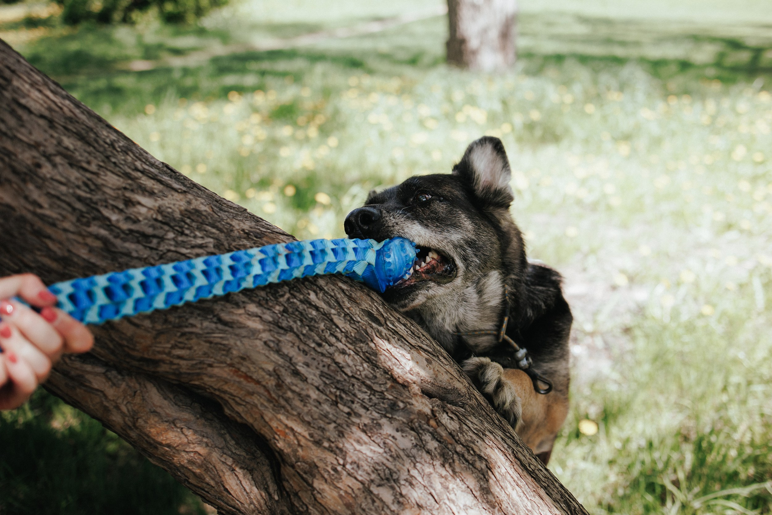Анжелика и Линда. Фотограф Наталья Потапова