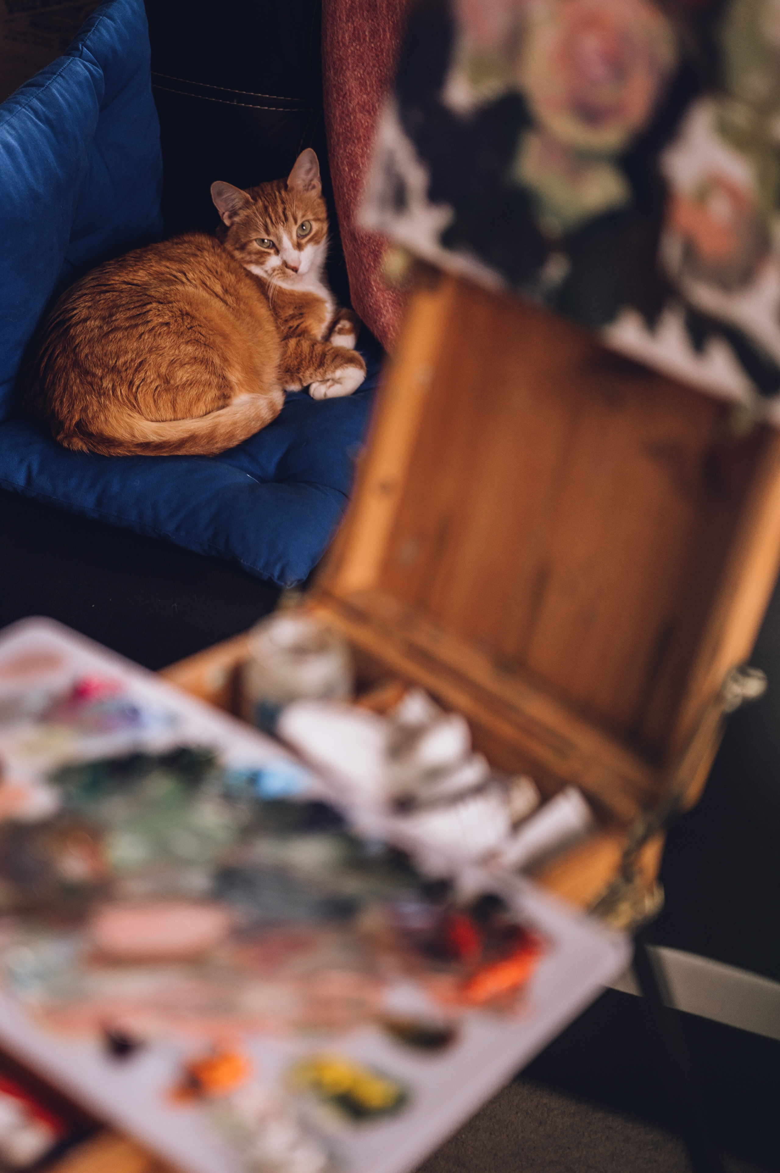 Серафима Калинина. Фотограф Горбенко Анна