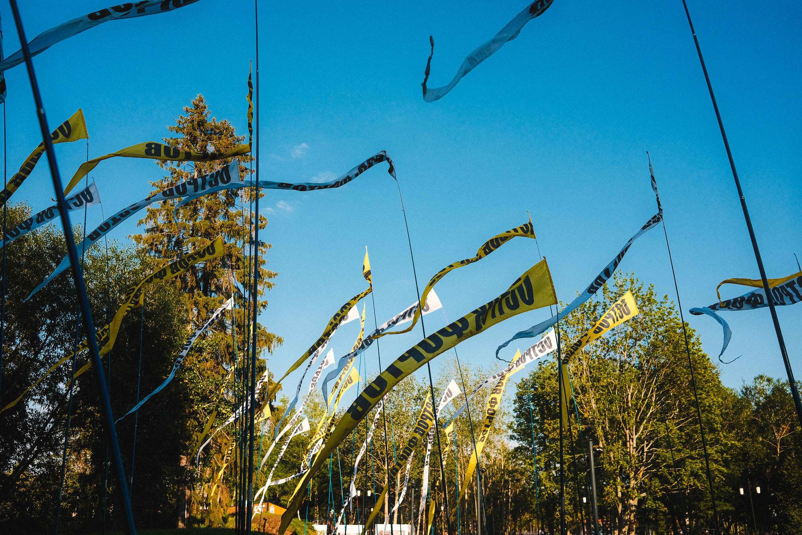 2022.08. Фотограф Алексей Алексеев