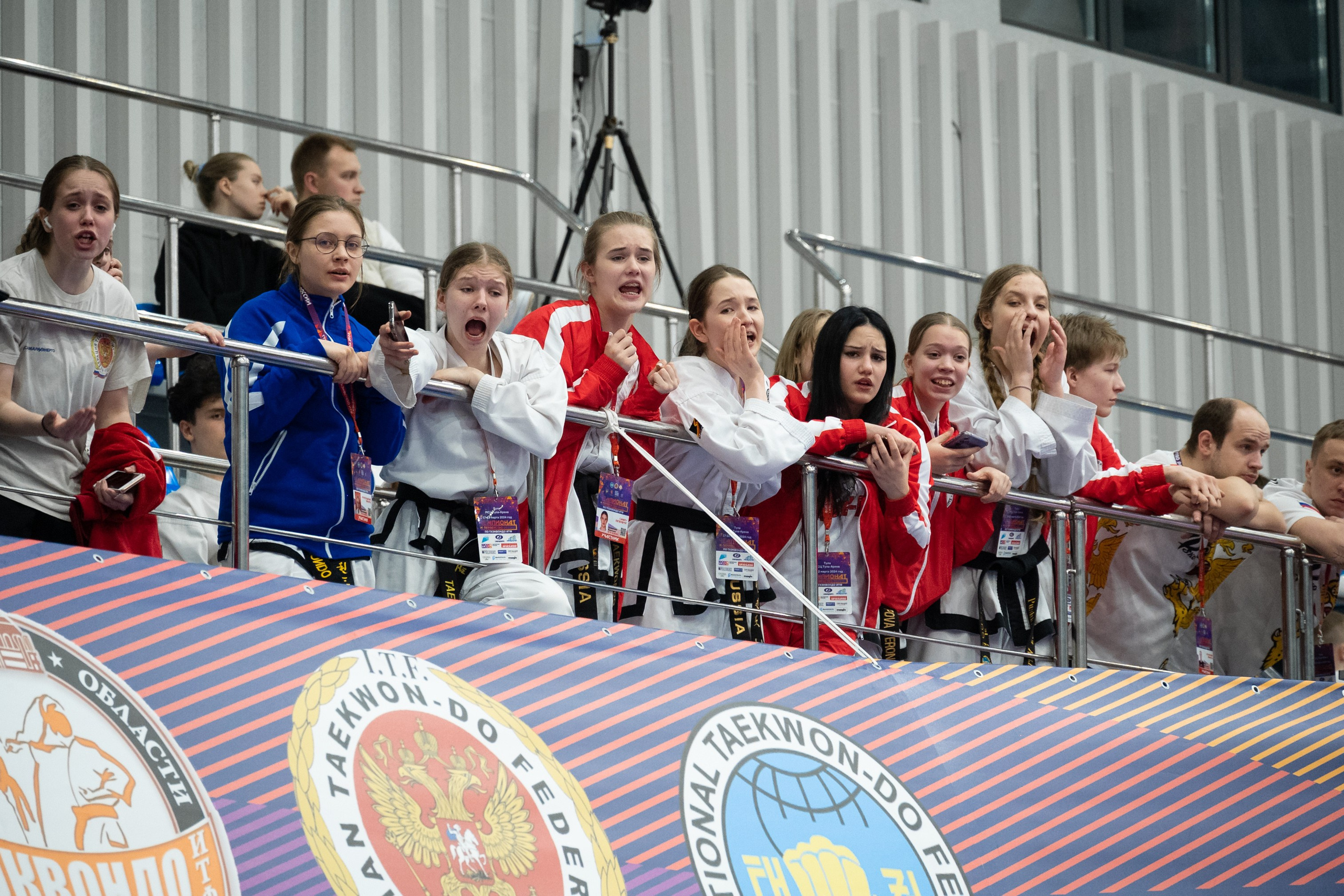 Чемпионат России по тхэквондо ИТФ. Фотограф и видеооператор в Туле | Даниил Рыбак