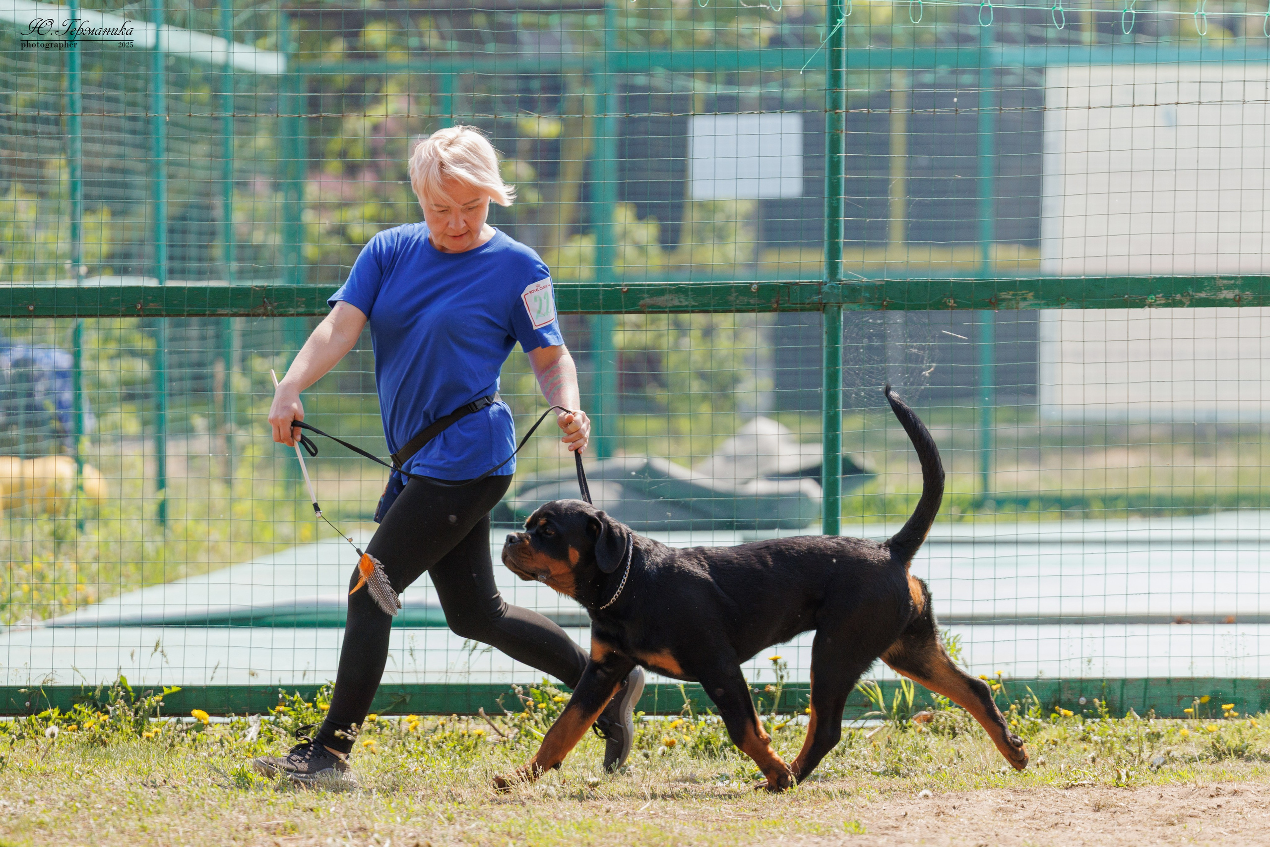 Саратов моно ротвейлеров 26-27.04.2025. Фотограф-анималист Юлия Германика